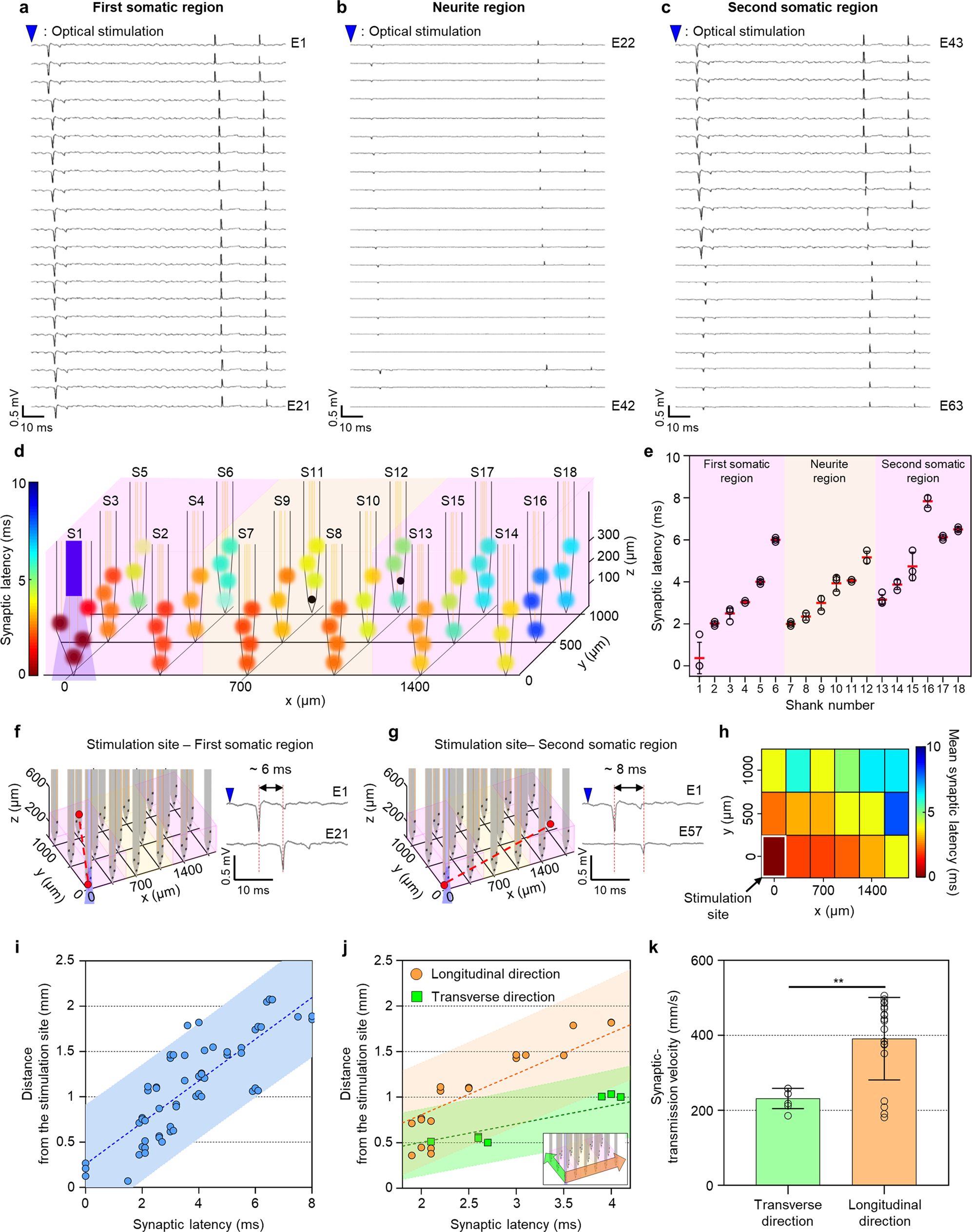 Fig. 7: Synaptic latency and transmission velocity between two somatic regions in the compartmentalized two-group 3D neural network model.
