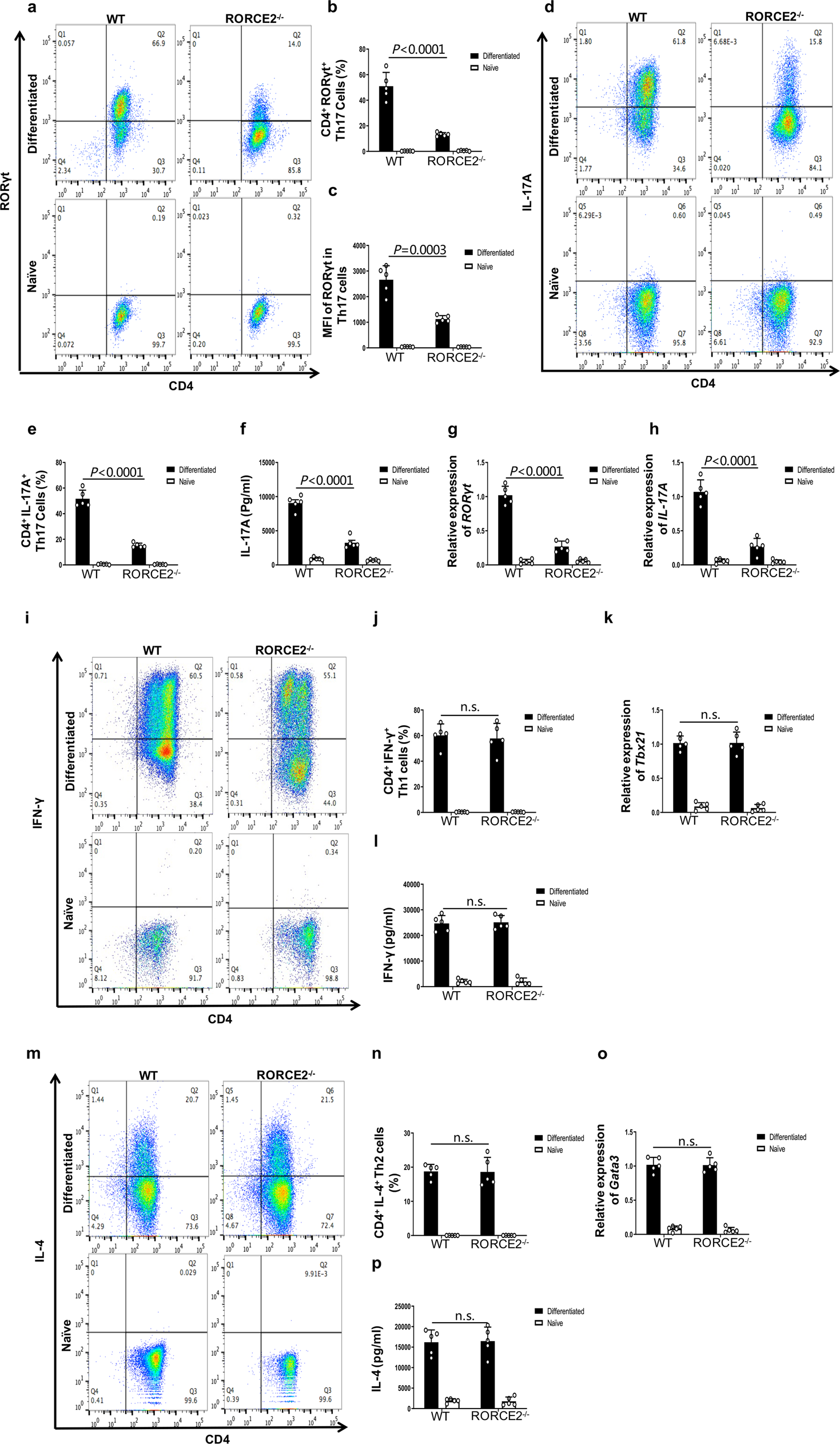 Fig. 3: RORCE2 deficiency inhibits Th17 cell polarization in vitro.