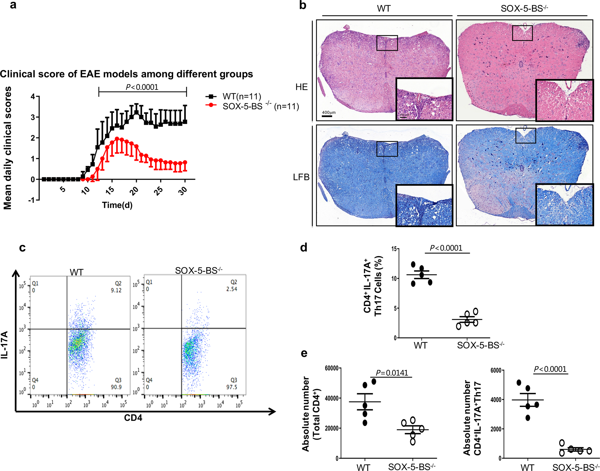 Fig. 9: SOX-5-BS deletion reduces the severity of EAE.