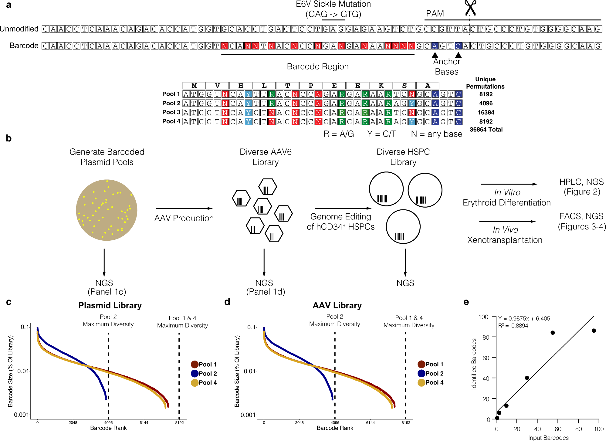 Comment Tracer Les Verticales Sur Un Schéma De Composition The TRACE-Seq method tracks recombination alleles and identifies clonal reconstitution dynamics of gene targeted human hematopoietic stem cells | Nature Communications