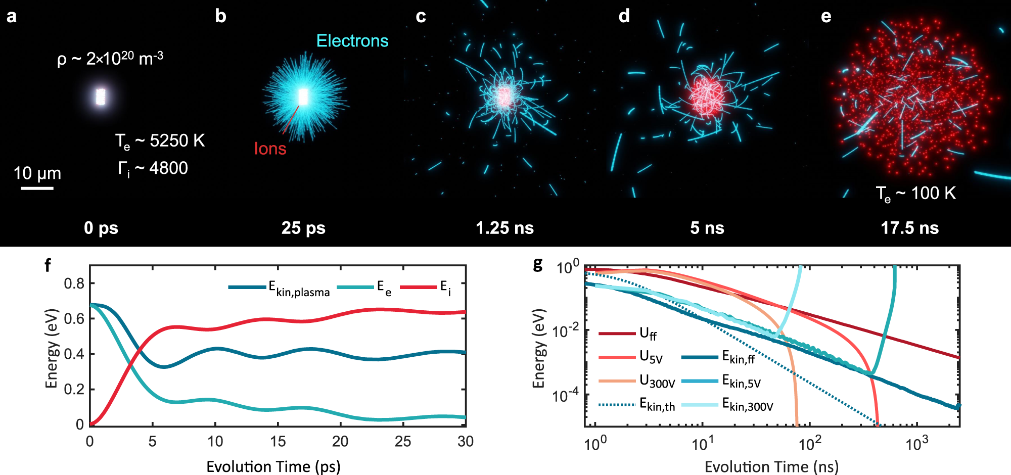 Fig. 4: Ultrafast dynamics of a charged ultracold microplasma.