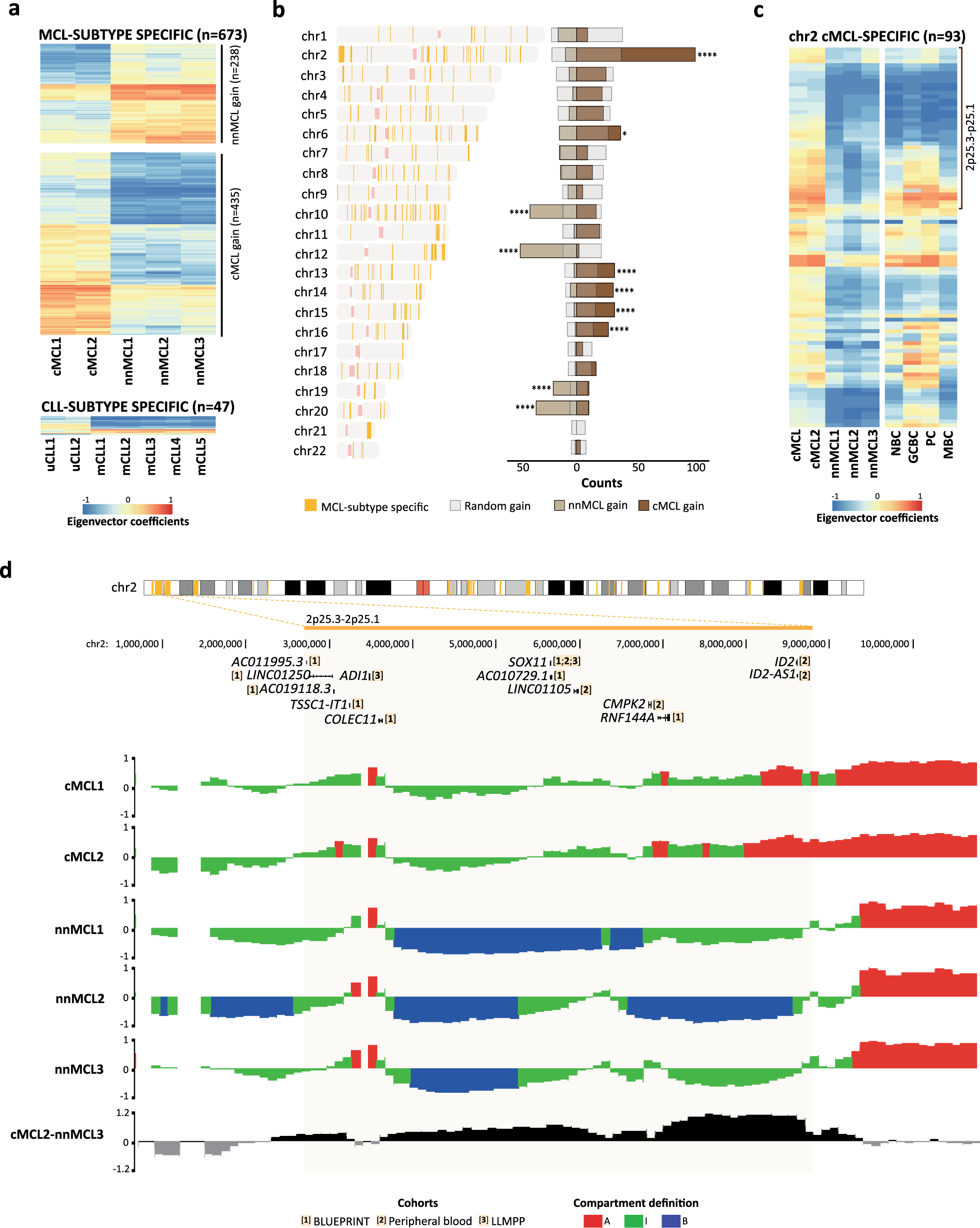 Fig. 7: Long-range chromatin remodeling of a 6.1 Mb involving SOX11 in cMCL.