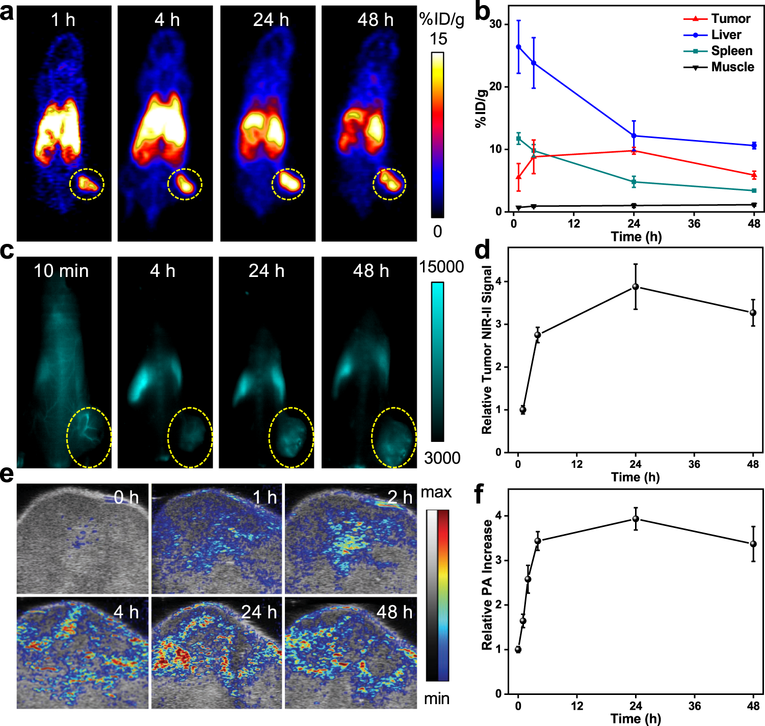 Fig. 6: In vivo multi-modal imaging.