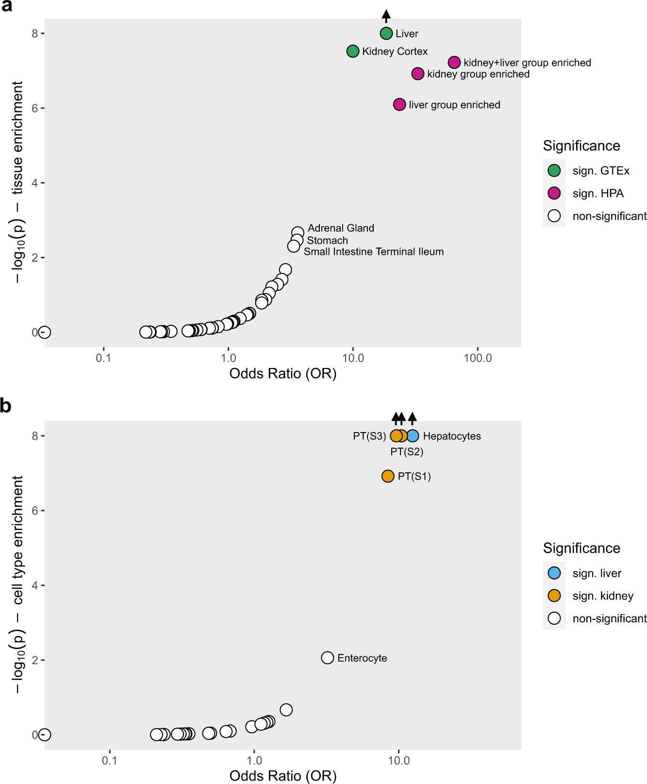Fig. 6: Enrichment analysis of the 30 significantly associated genes in human tissues and cell types.