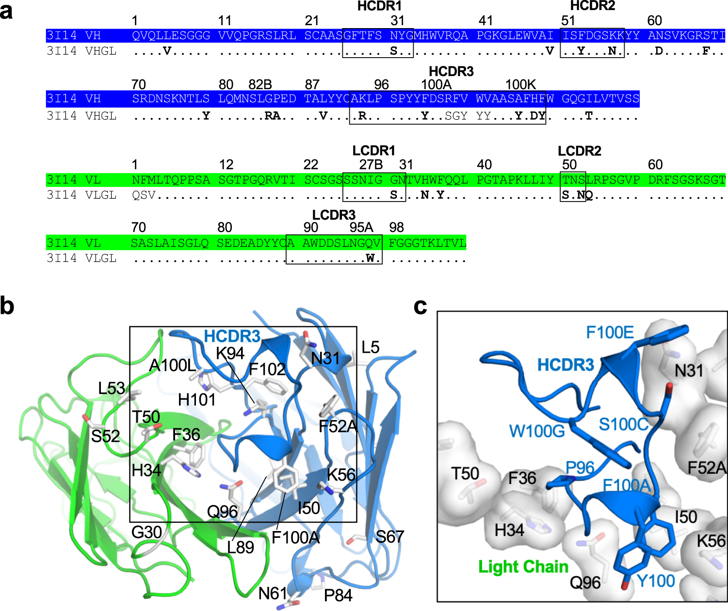 Fig. 3: 3I14 Somatic hypermutations shape HCDR3.