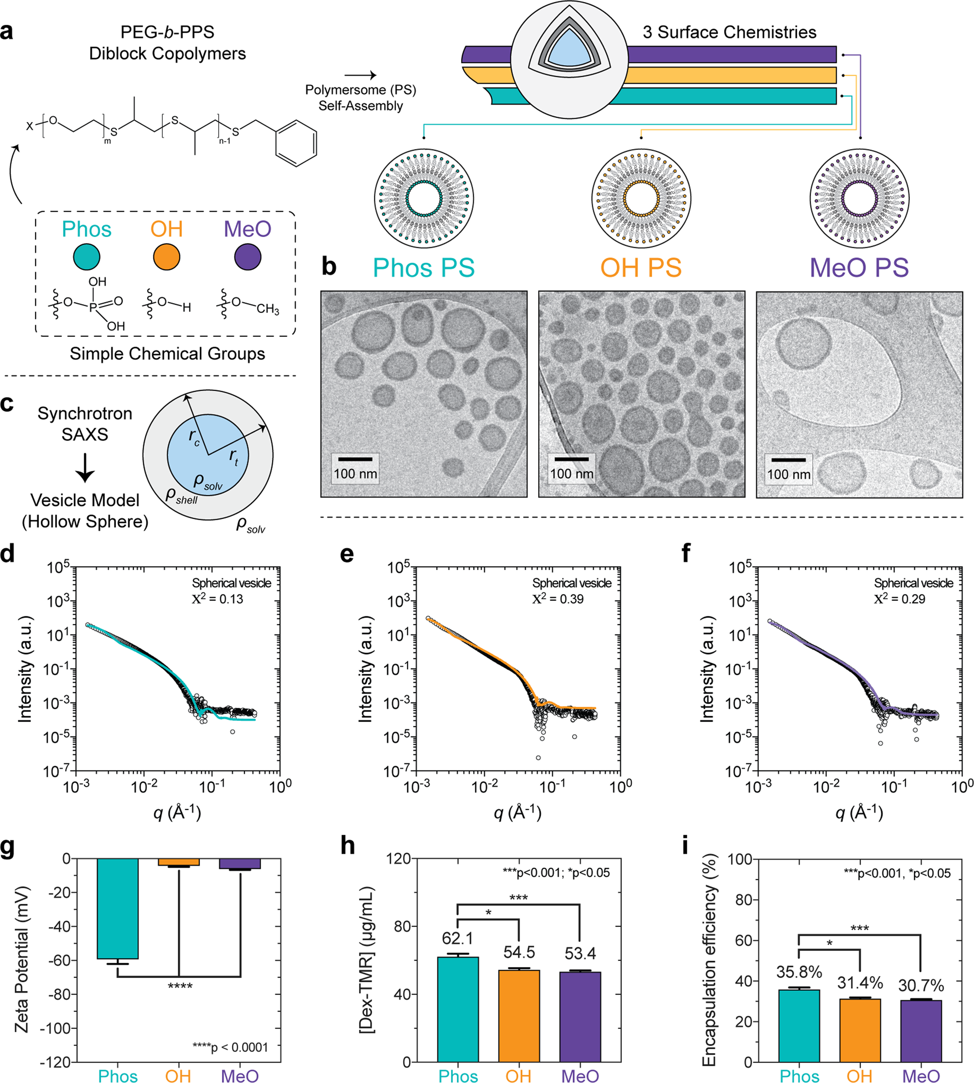 Surface Chemistry Mediated Modulation Of Adsorbed Albumin Folding State Specifies Nanocarrier Clearance By Distinct Macrophage Subsets Nature Communications