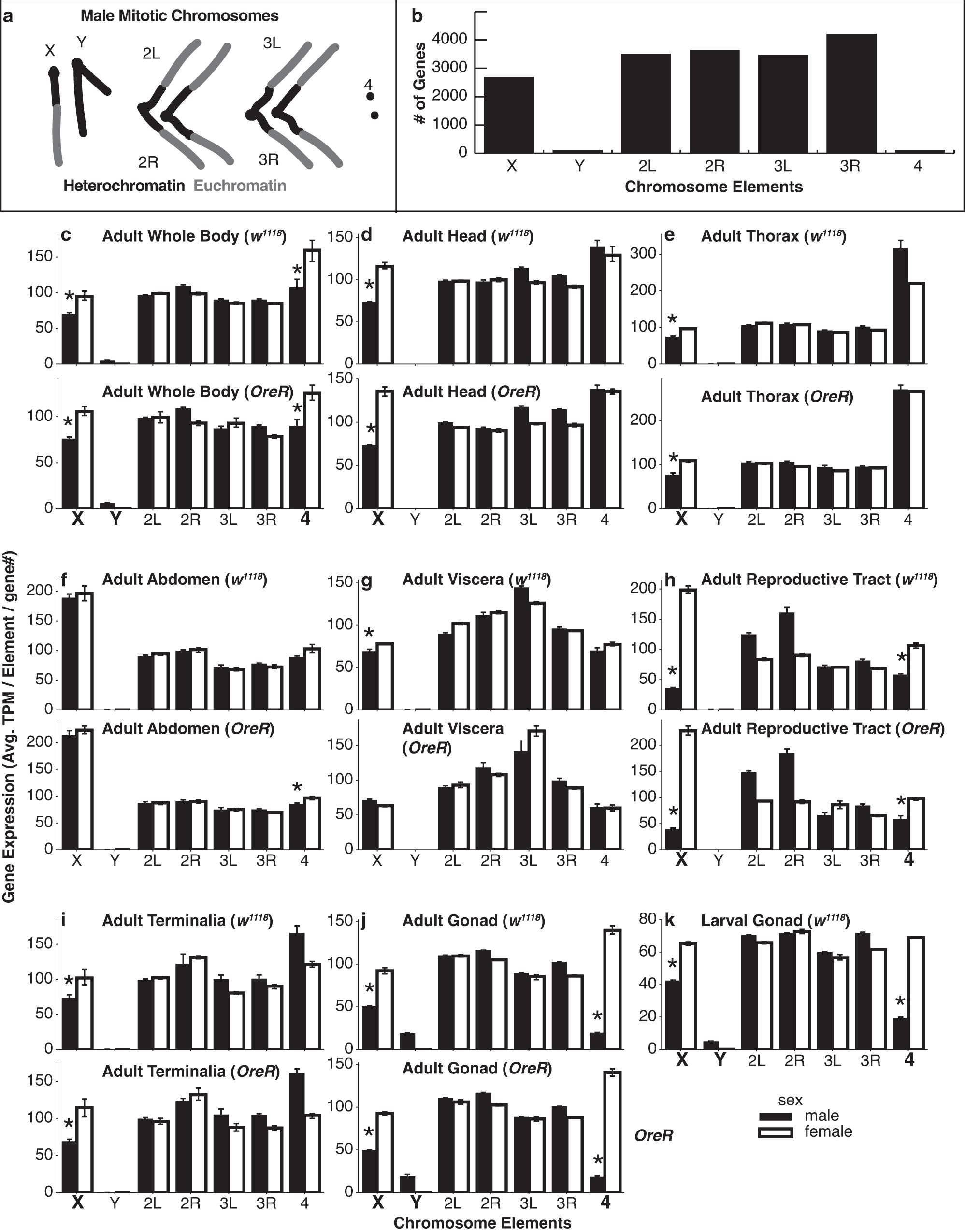 Dynamic sex chromosome expression in Drosophila male germ cells | Nature  Communications