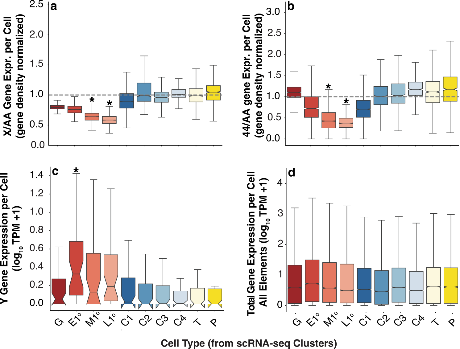 Fig. 3: X-, 4th-, and Y-linked gene expression patterns across cell types.