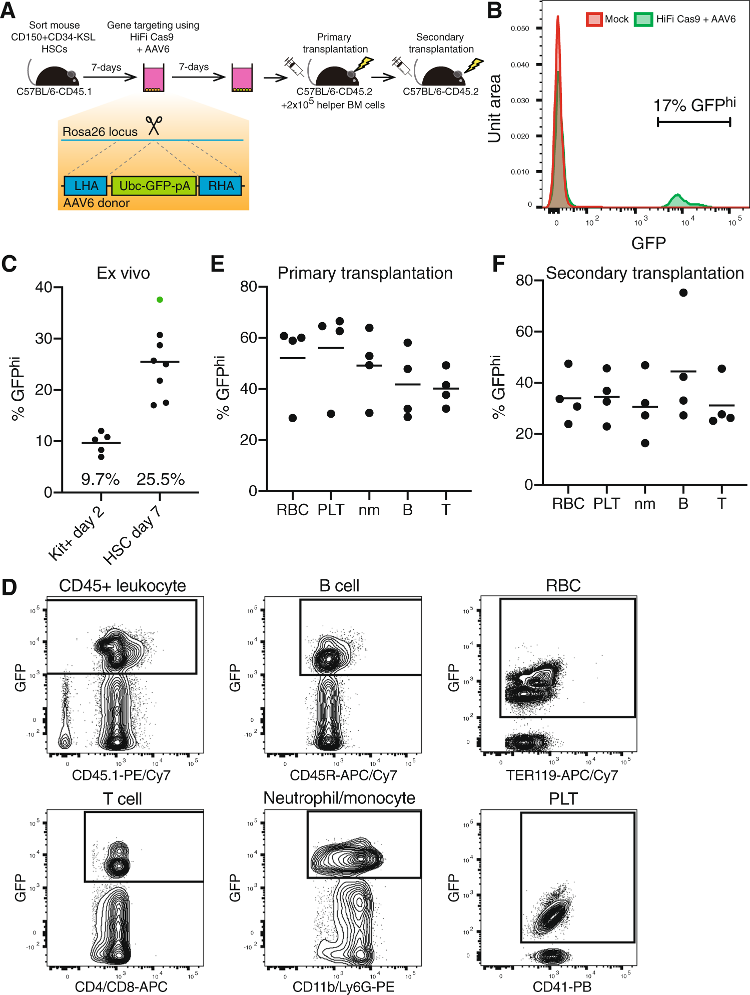 Cas9 Aav6 Gene Correction Of Beta Globin In Autologous Hscs Improves Sickle Cell Disease Erythropoiesis In Mice Nature Communications