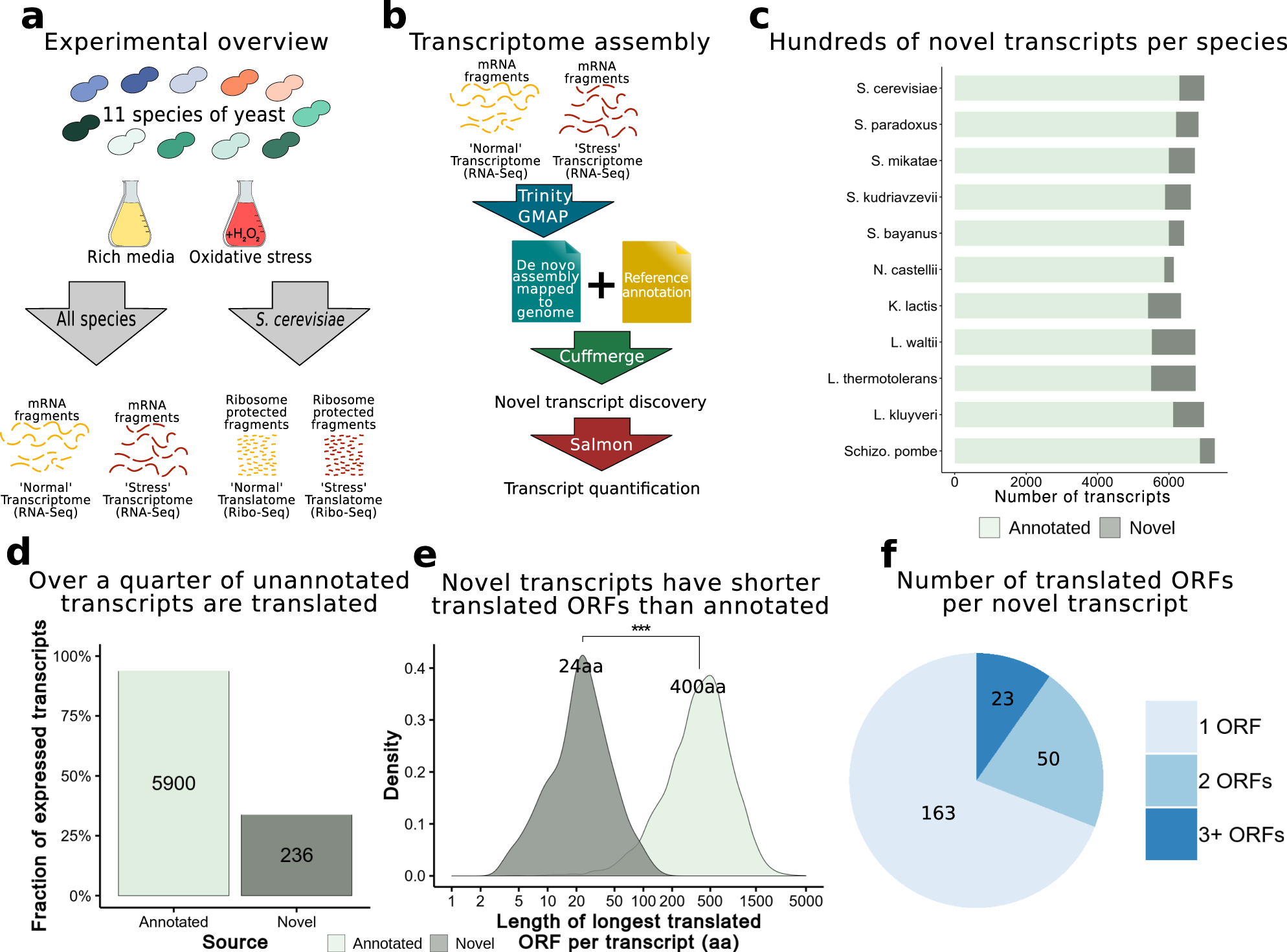 Uncovering de novo gene birth in yeast using deep transcriptomics | Nature  Communications