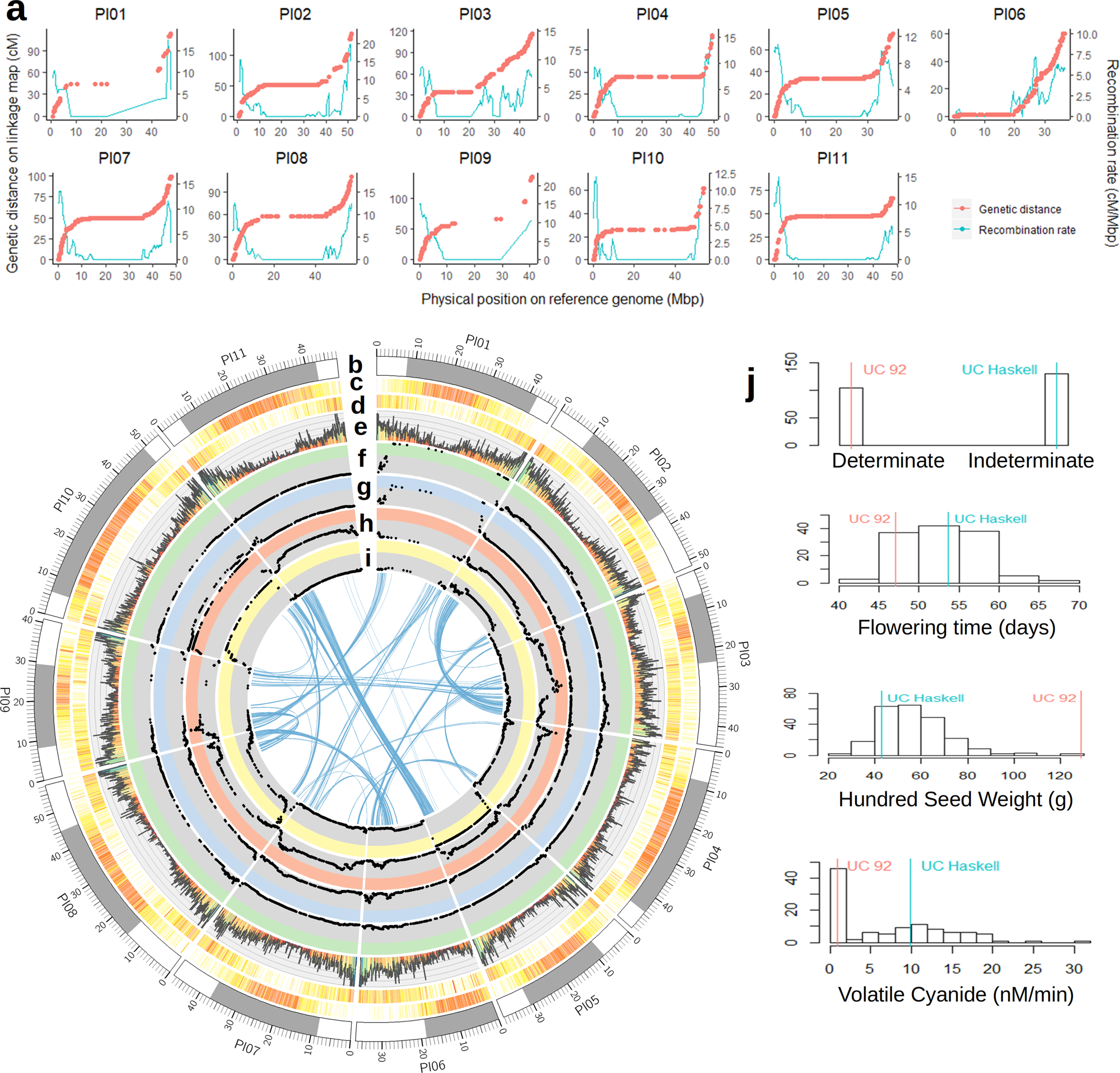 Comprehensive genomic resources related to domestication and crop  improvement traits in Lima bean | Nature Communications