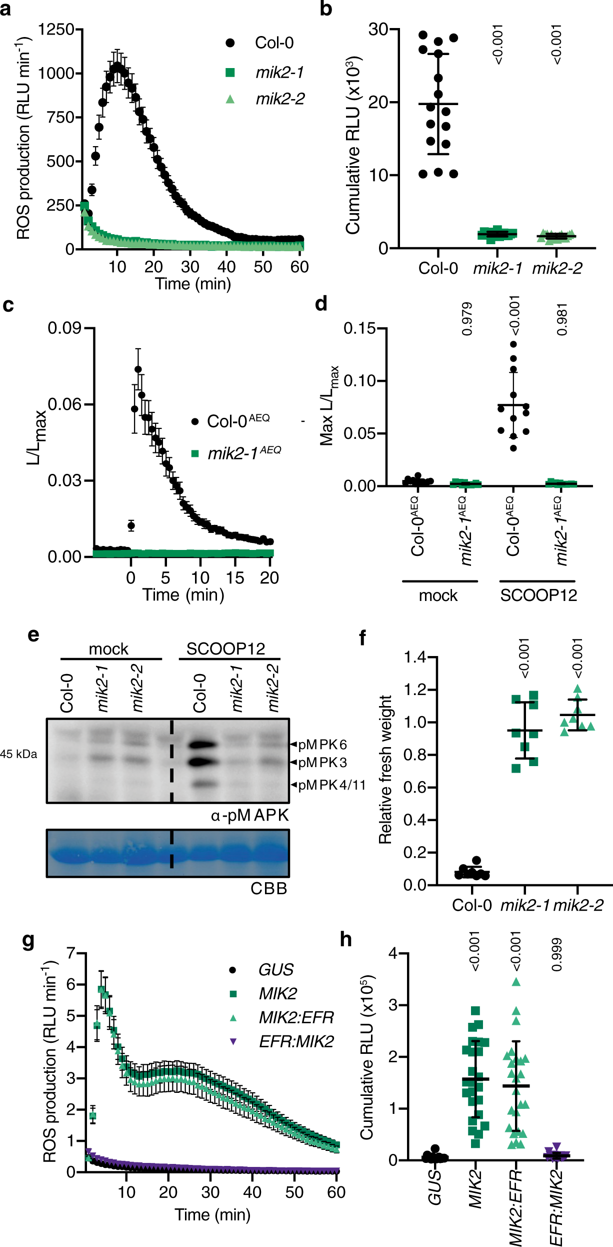 Fig. 1: MIK2 is required and sufficient for SCOOP12-induced responses.