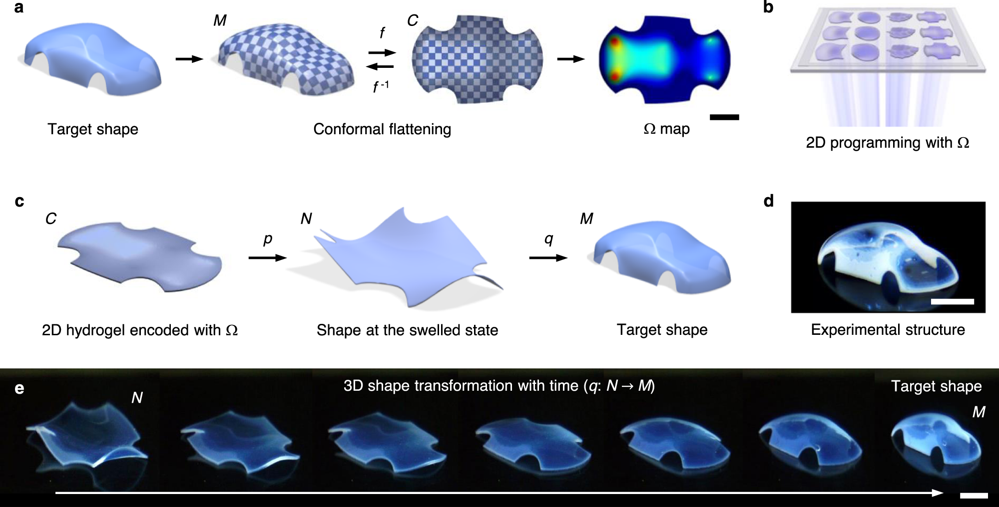 2d Material Programming For 3d Shaping Nature Communications