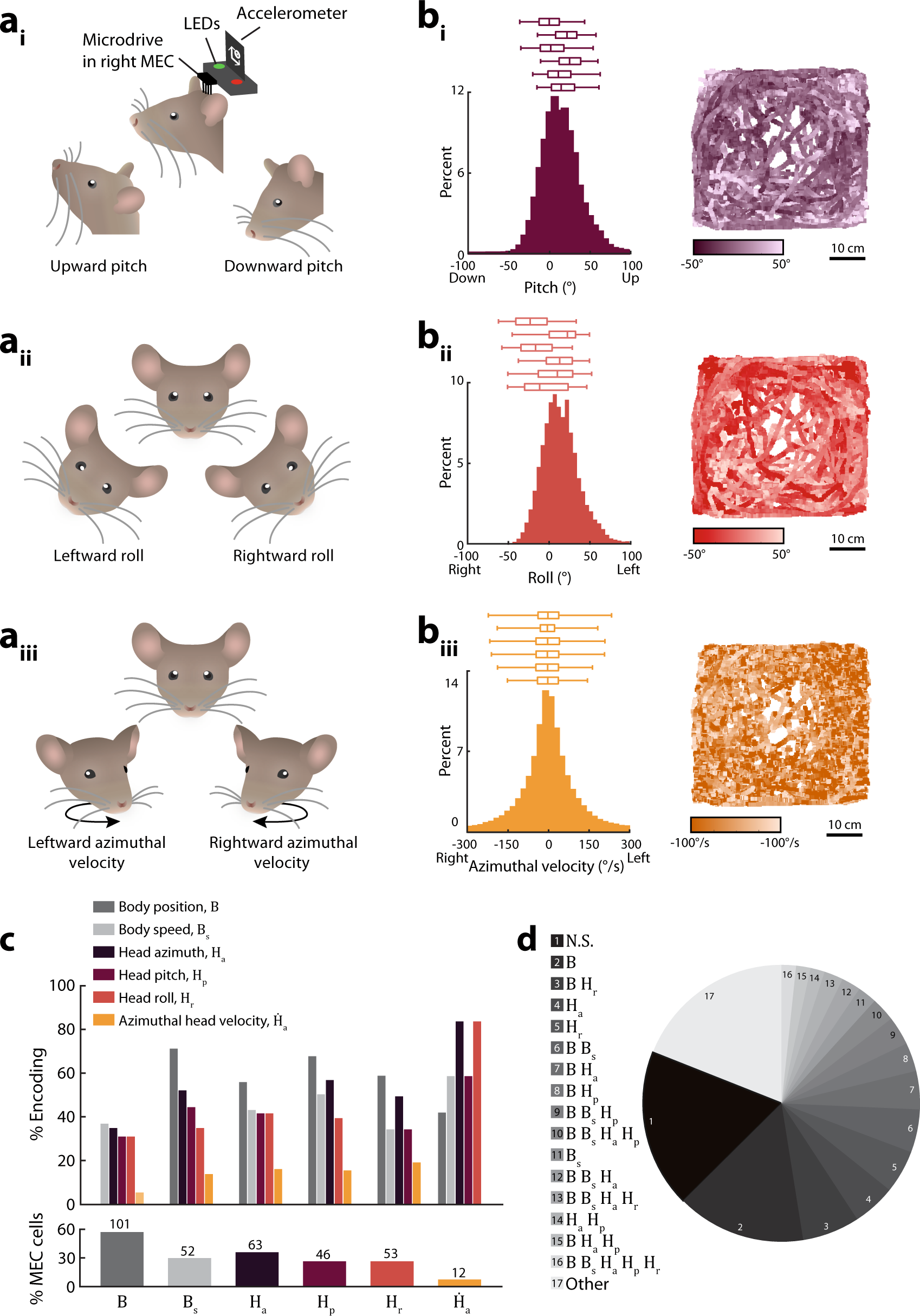 Mouse entorhinal cortex encodes a diverse repertoire of self-motion signals  | Nature Communications