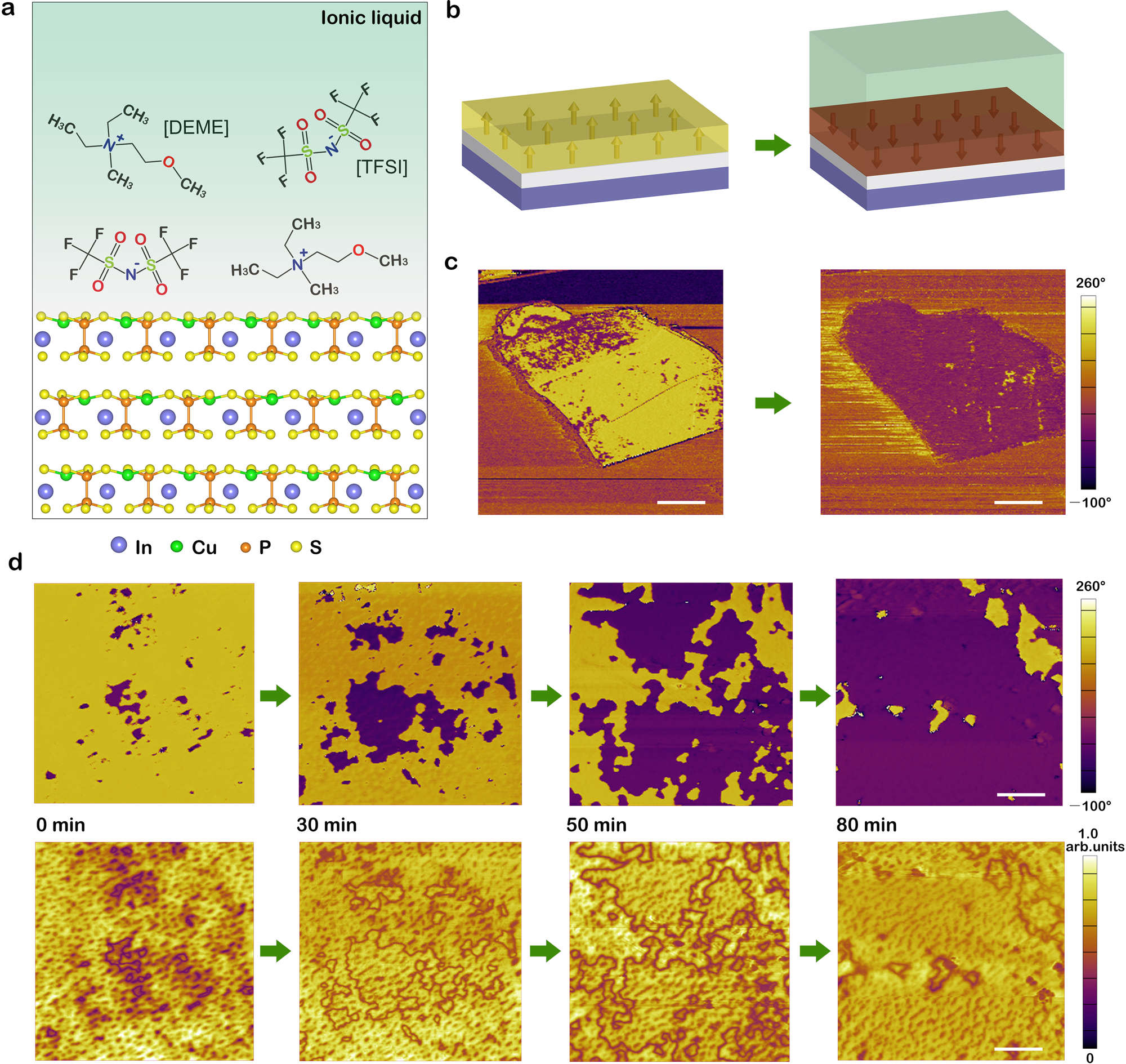 Ion Adsorption Induced Reversible Polarization Switching Of A Van Der Waals Layered Ferroelectric Nature Communications