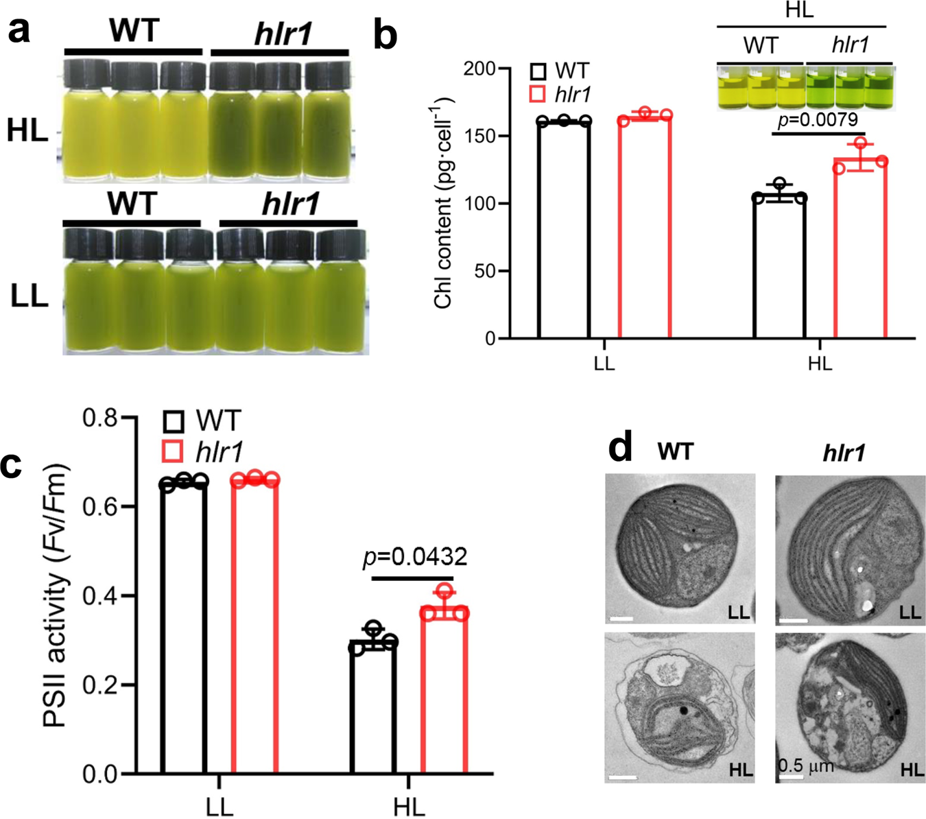 Role Of An Ancient Light Harvesting Protein Of Psi In Light Absorption And Photoprotection Nature Communications