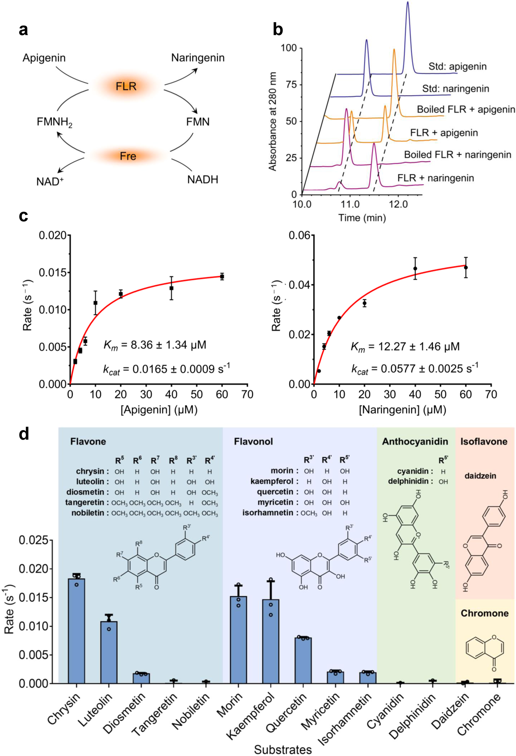 Fig. 2: Functional identification of flavone reductase (FLR).