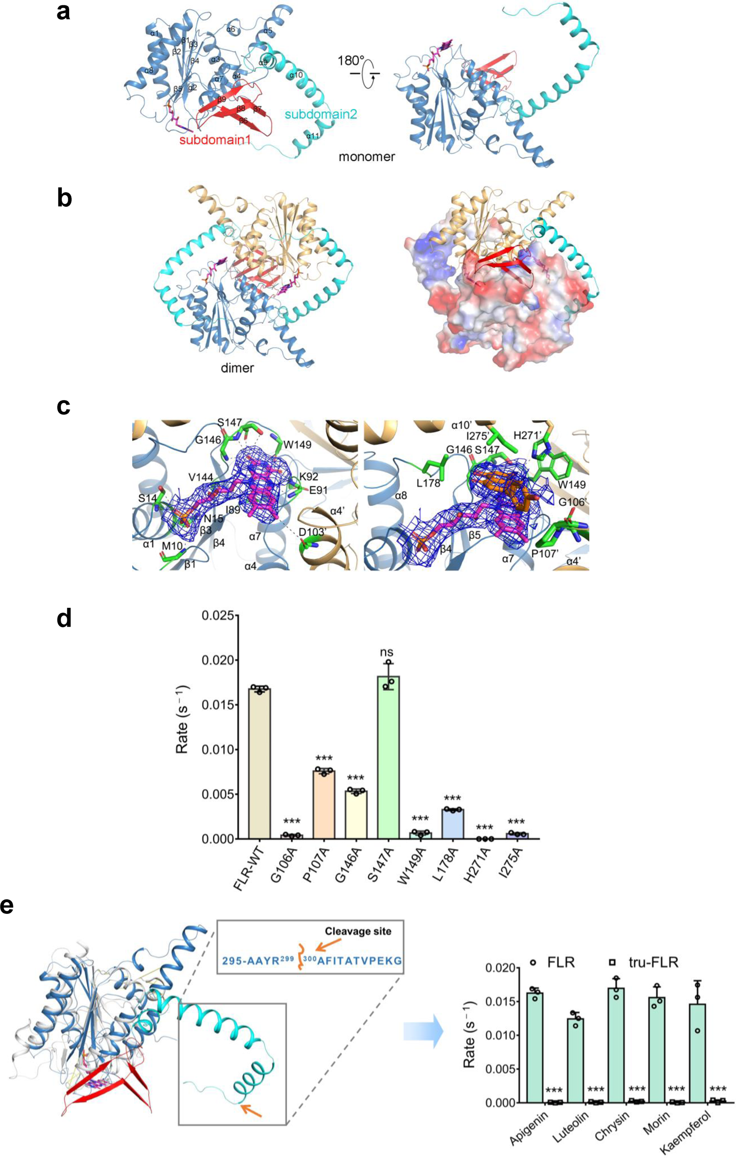 Fig. 4: Crystal structure of flavone reductase (FLR).