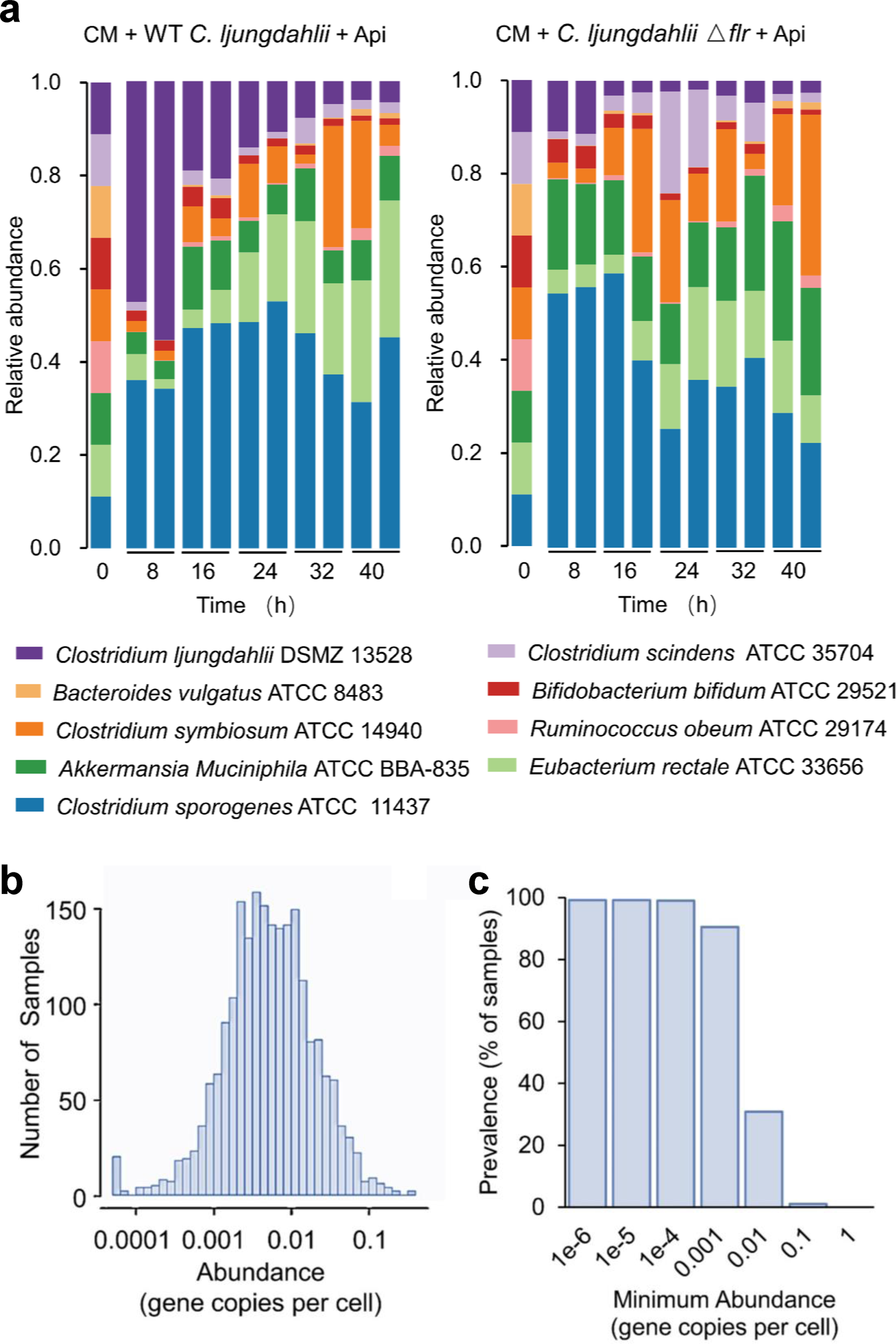 Fig. 6: Influence of the flr gene on gut microbial composition under the pressure of flavone apigenin and the abundance of flr-like genes in human gut microbiome.