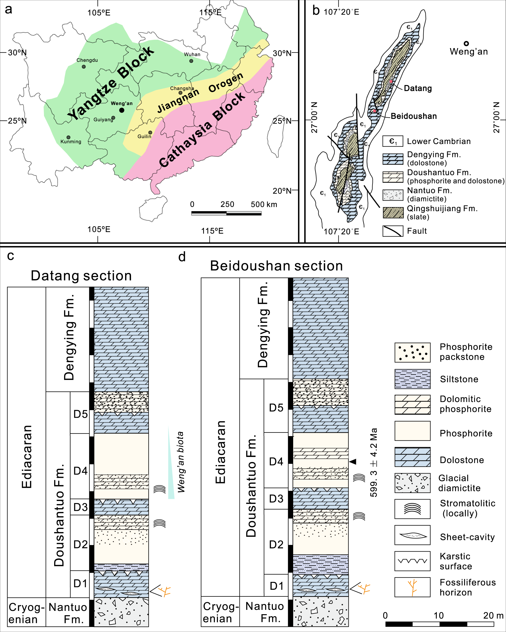 Cryptic Terrestrial Fungus Like Fossils Of The Early Ediacaran Period Nature Communications