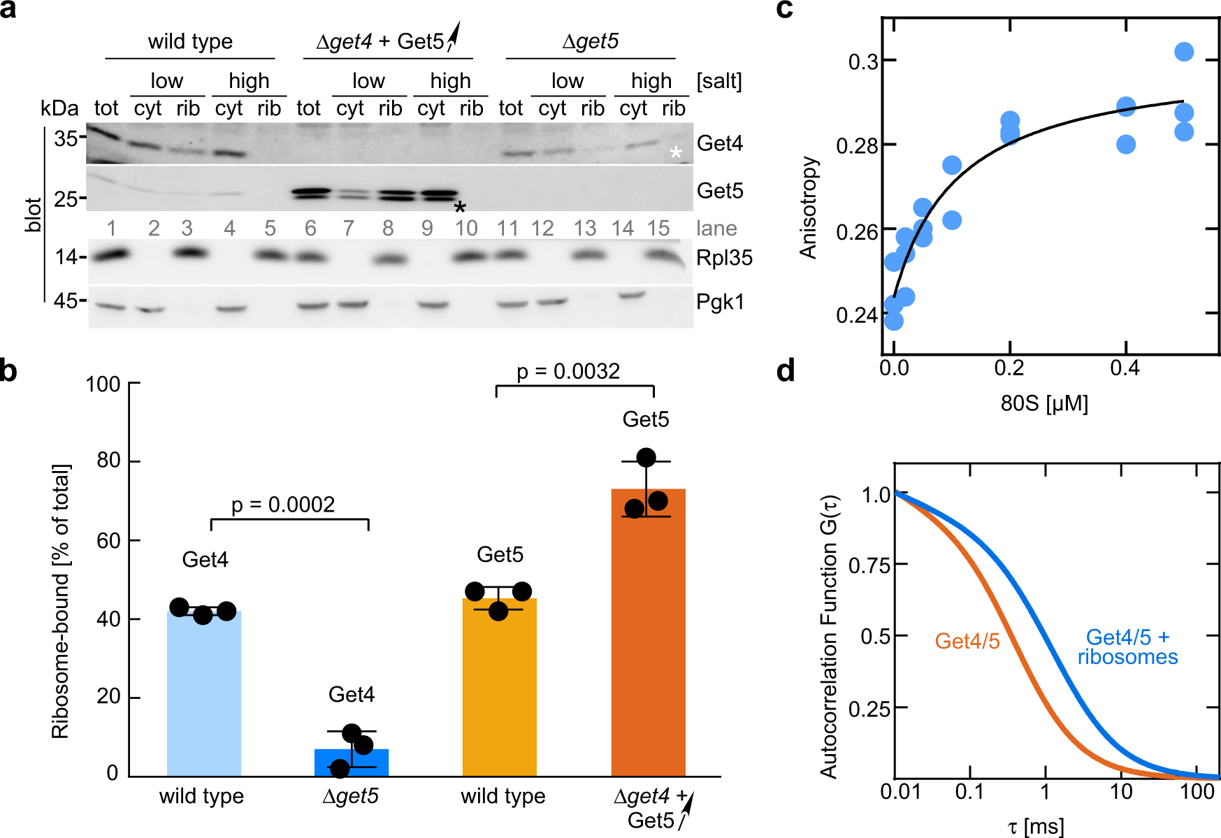 Fig. 1: The Get4/5 complex binds to ribosomes with high affinity.