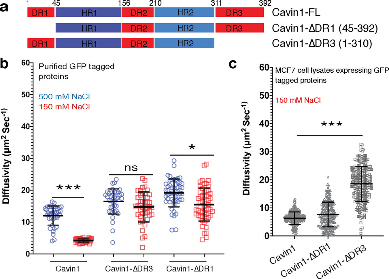 Cavin1 Intrinsically Disordered Domains Are Essential For Fuzzy Electrostatic Interactions And Caveola Formation Nature Communications