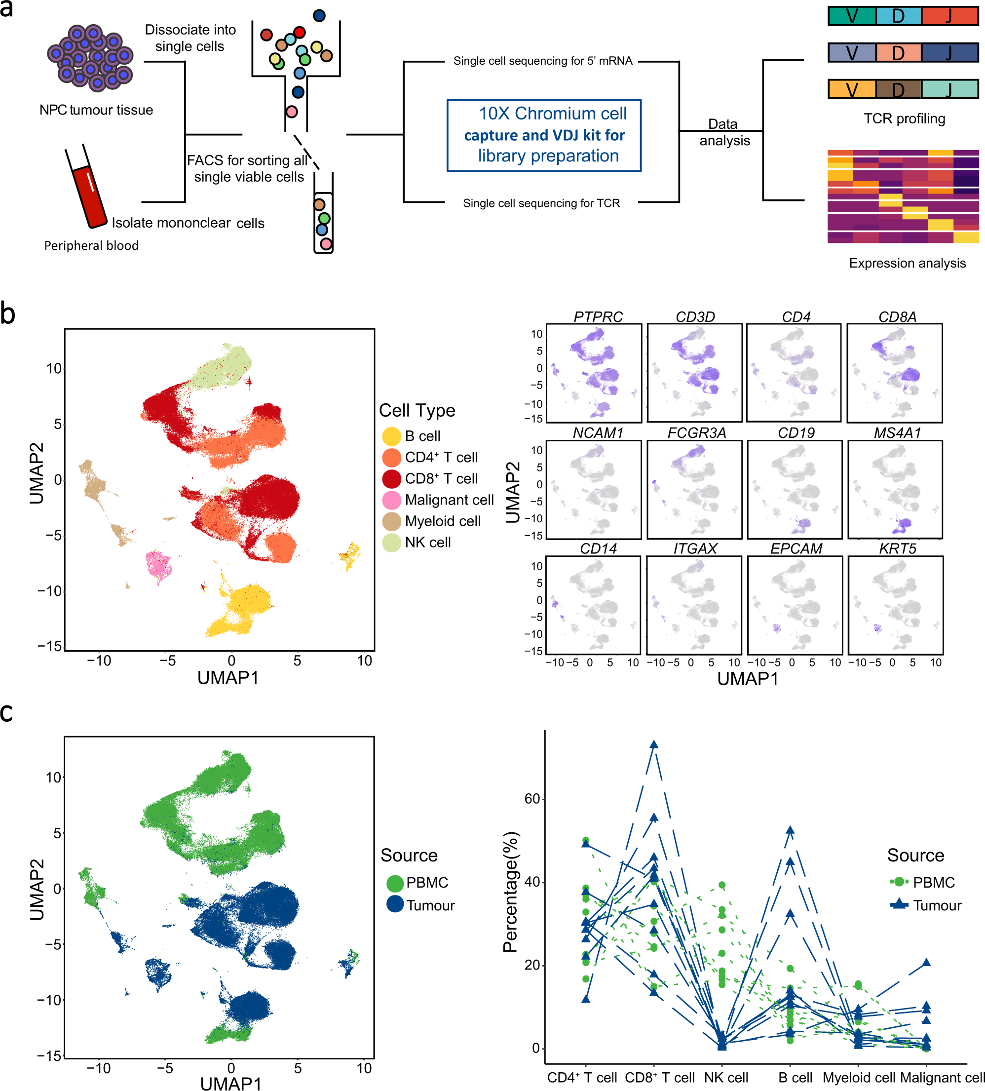 Cellular heterogeneity and immune microenvironment revealed by