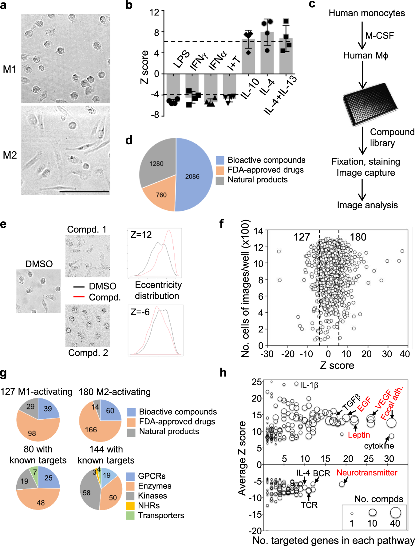 High-throughput phenotypic screen and transcriptional analysis identify new  compounds and targets for macrophage reprogramming | Nature Communications