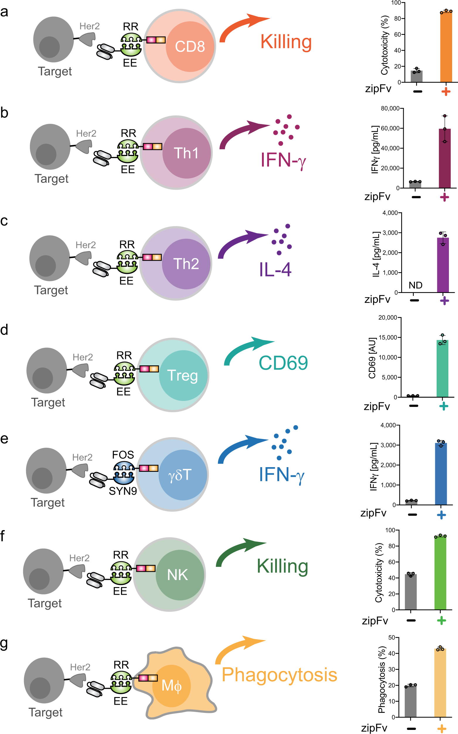 Engineering advanced logic and distributed computing in human CAR immune  cells | Nature Communications