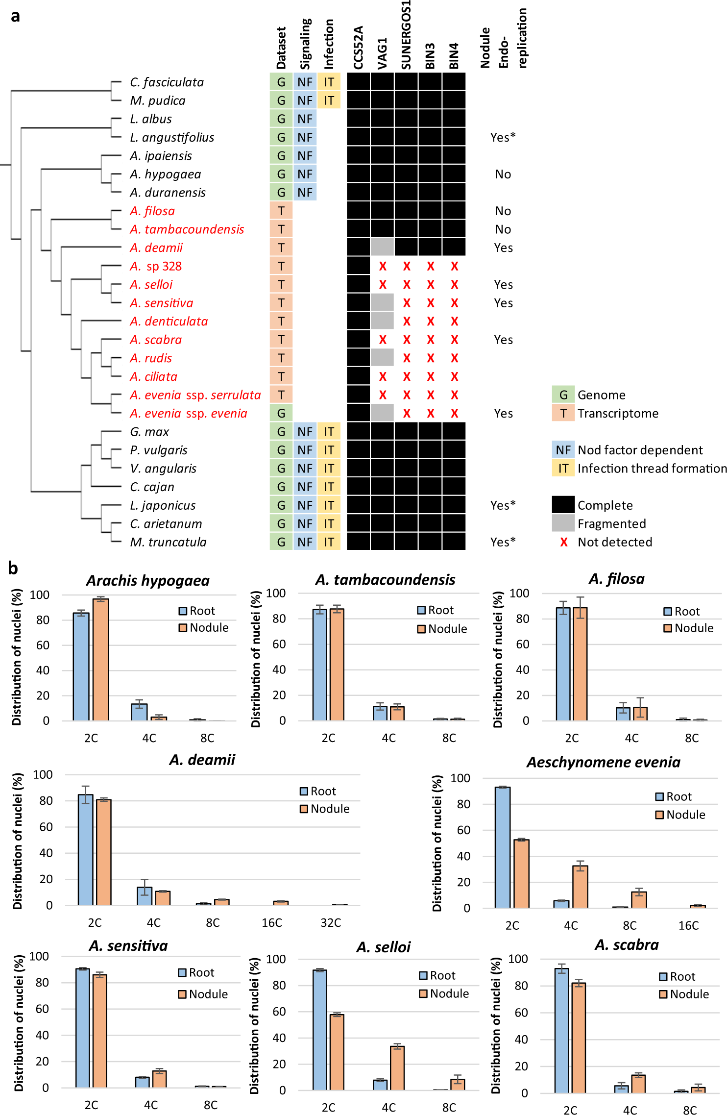 Fig. 3: Comparative analysis of endoreplication-mediated nodule differentiation.