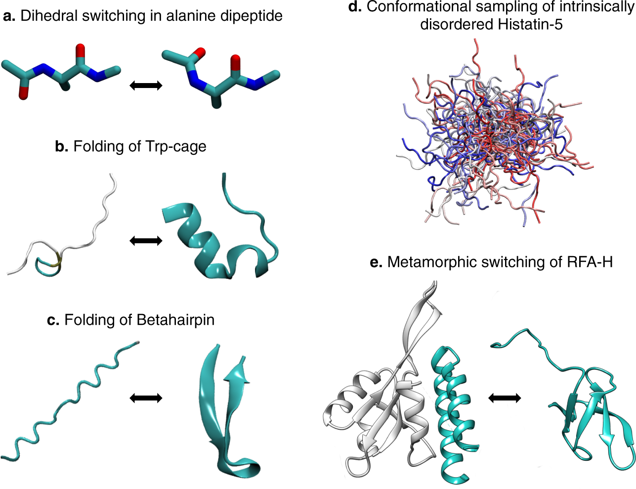 High resolution ensemble description of metamorphic and intrinsically disordered proteins using an efficient hybrid parallel tempering scheme | Nature Communications High resolution ensemble description of metamorphic and intrinsically disordered proteins using an efficient hybrid parallel tempering scheme | Nature Communications