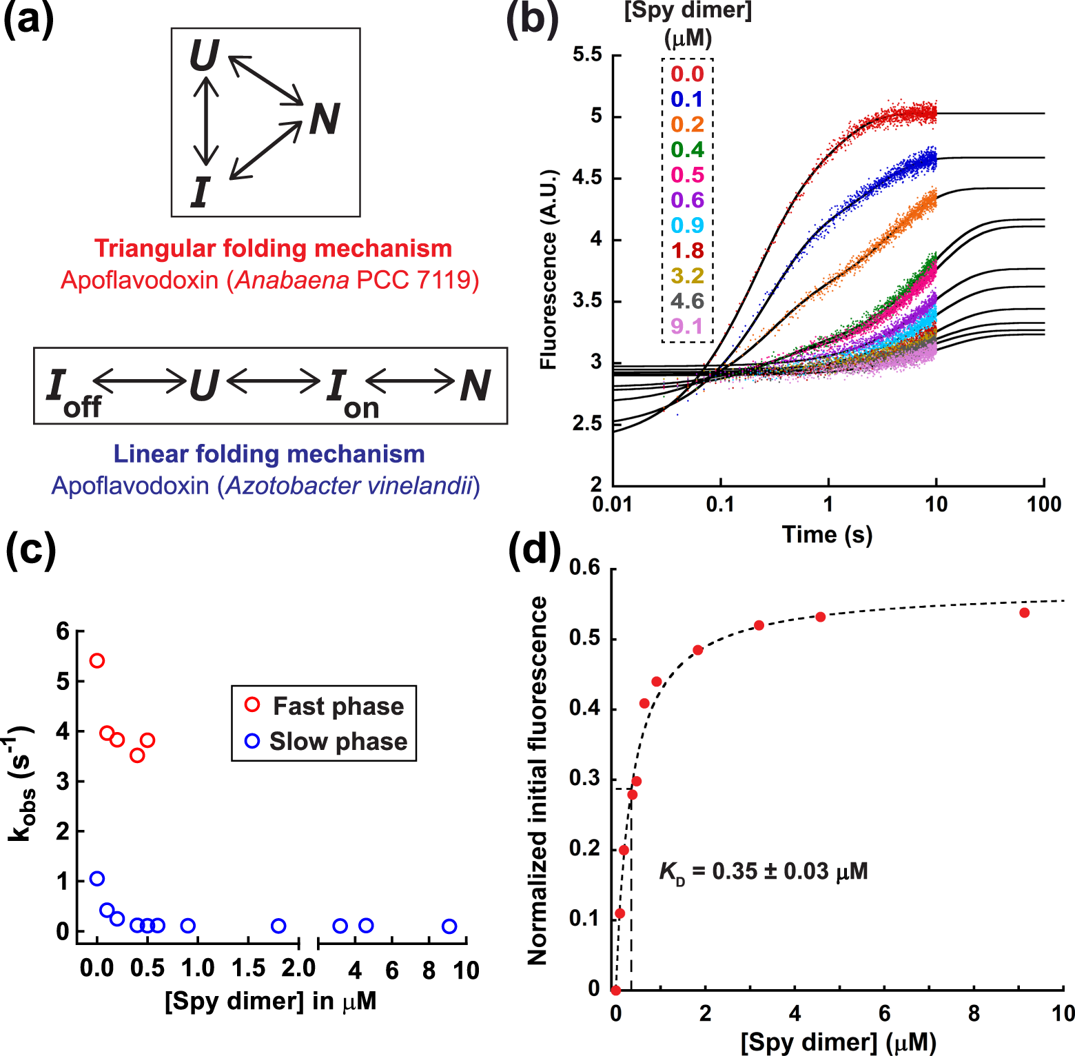 Mechanism of the small ATP-independent chaperone Spy is substrate specific  | Nature Communications