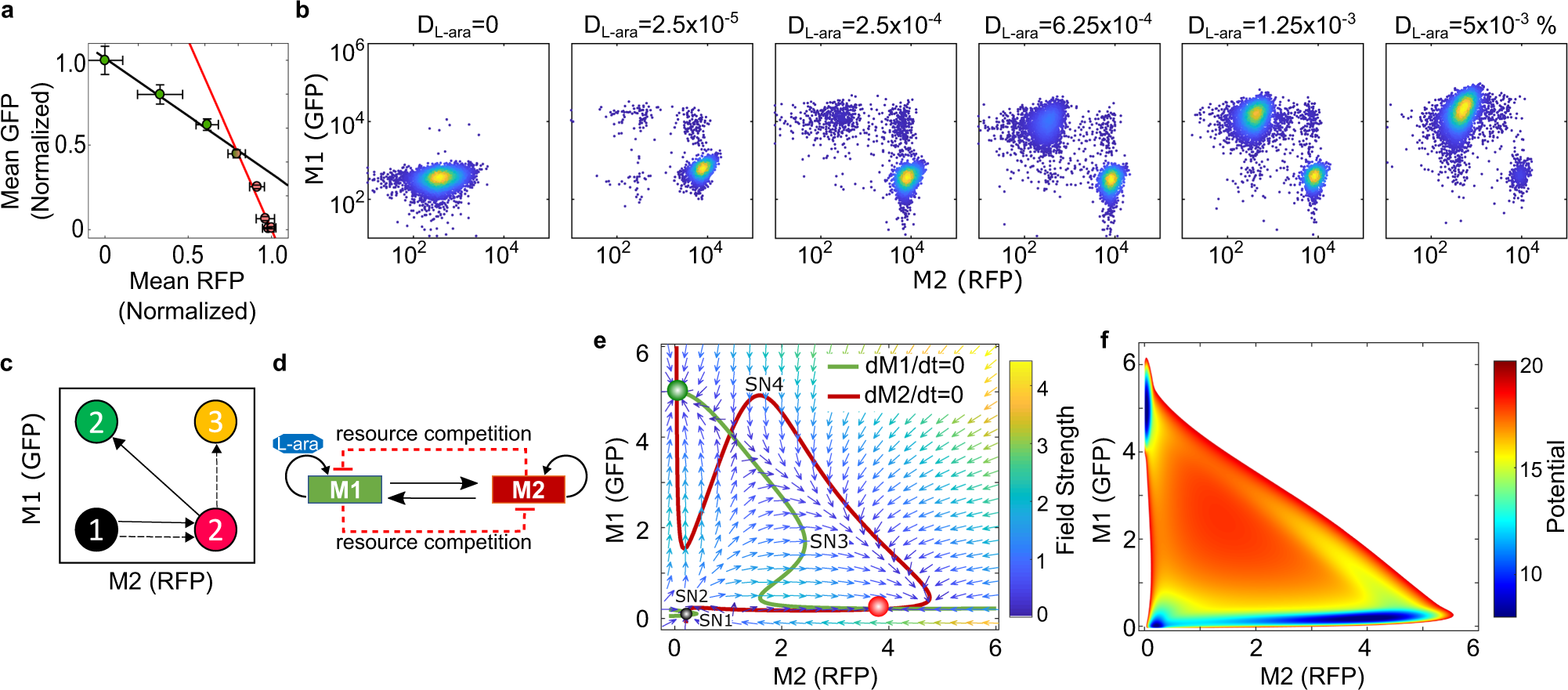 Fig. 2: Resource competition deviates the cell fate transitions in the one-strain Syn-CBS circuit.