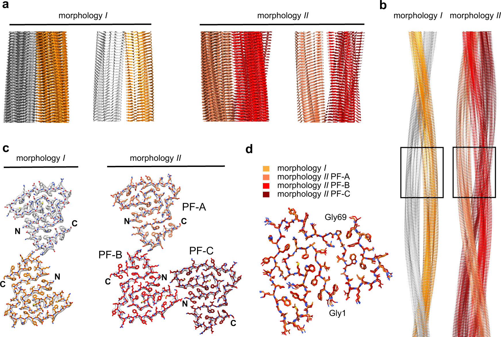 Amyloid Fibrils From Diseased Tissue Are Structurally Different From In Vitro Formed Saa Fibrils Nature Communications Amyloid Fibrils From Diseased Tissue Are Structurally Different From In Vitro Formed Saa Fibrils Nature Communications