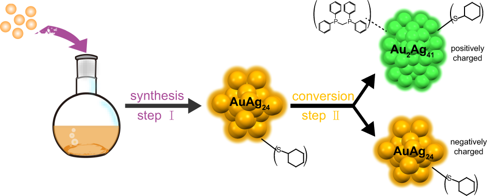 Fig. 5: Schematic diagram of the synthesis route for (Au2Ag41)■(AuAg24) bi-nanocluster system.