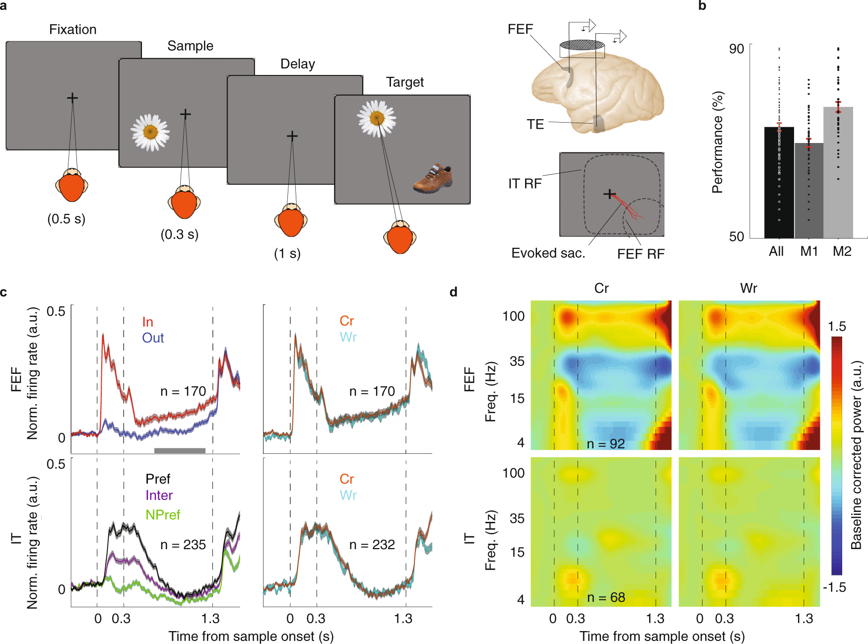 Frontotemporal Coordination Predicts Working Memory Performance And Its Local Neural Signatures Nature Communications
