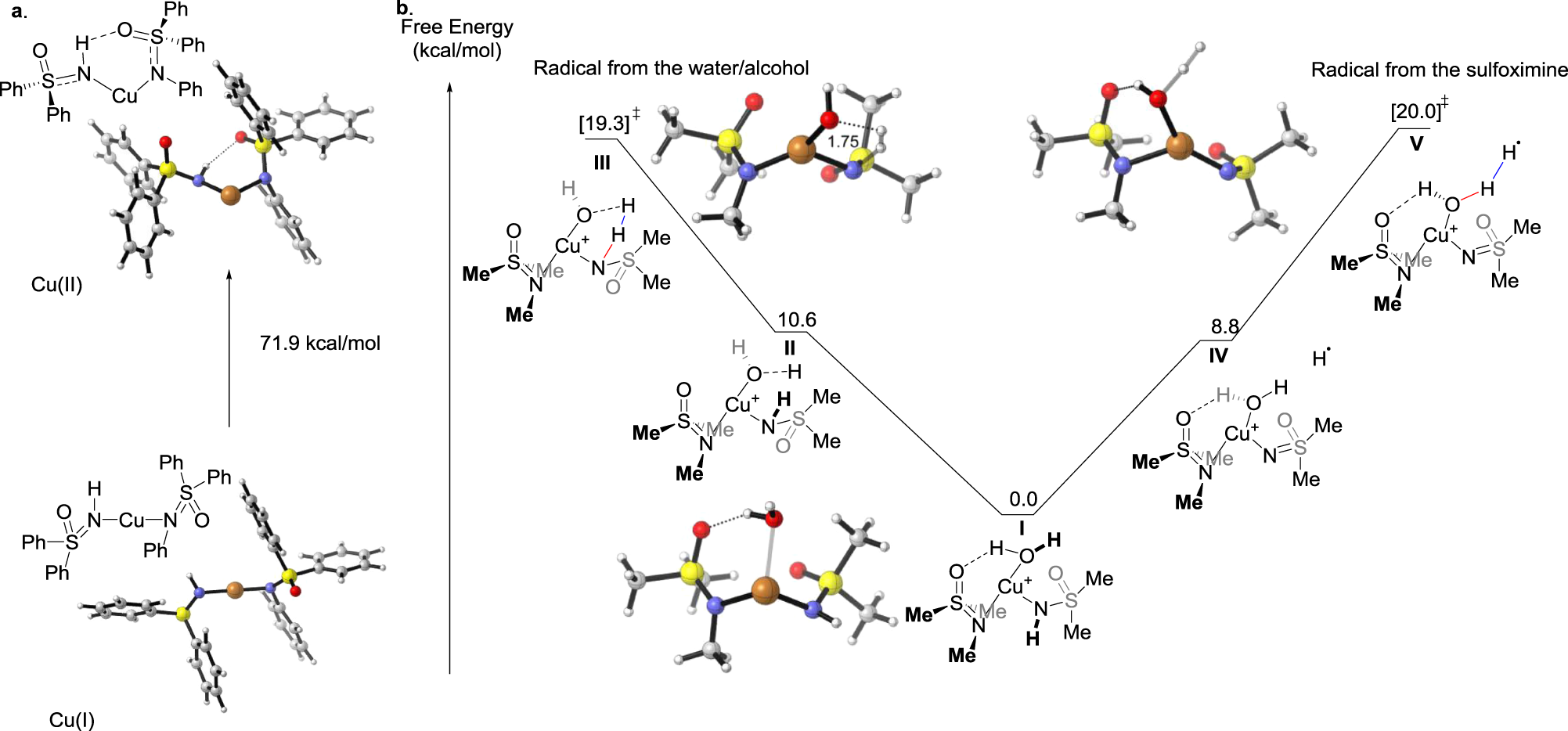Fig. 6: Computed pathways.