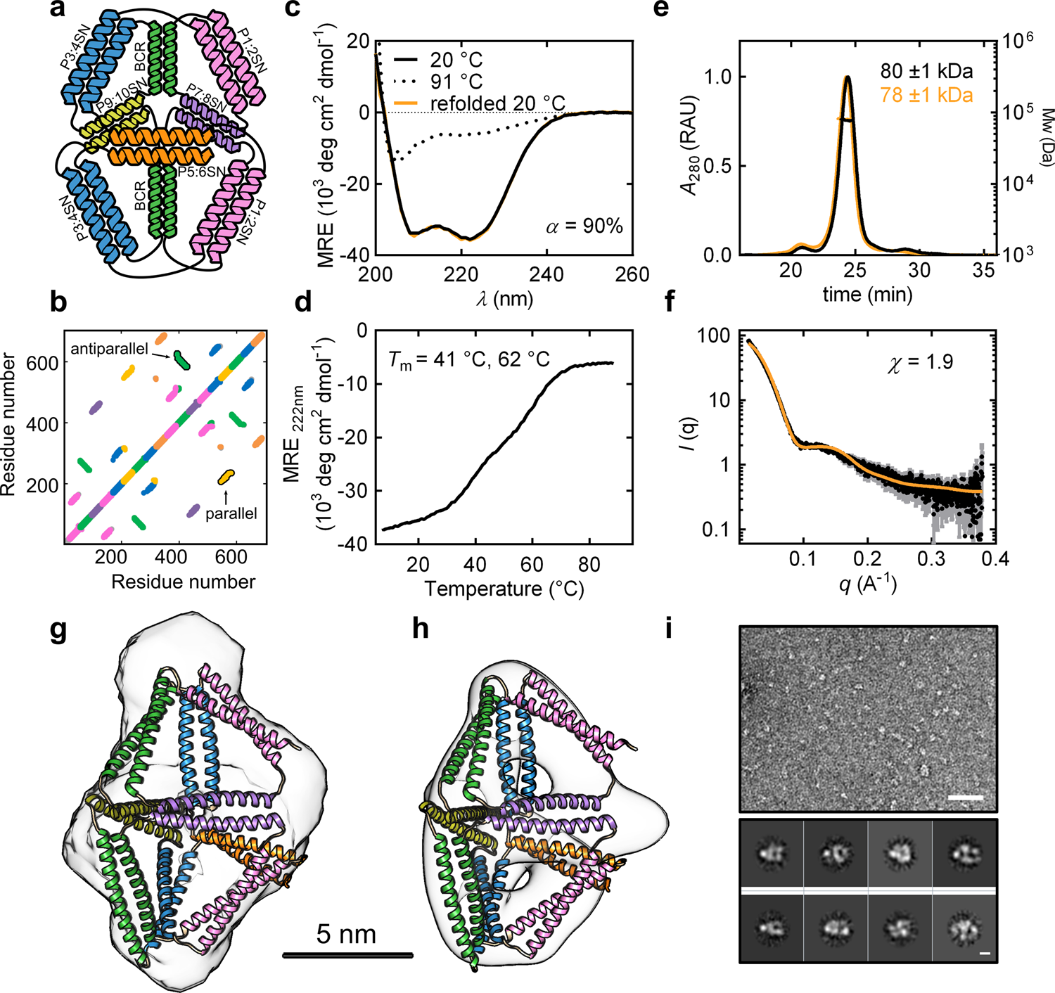 Self-assembly and regulation of protein cages from pre-organised  coiled-coil modules | Nature Communications