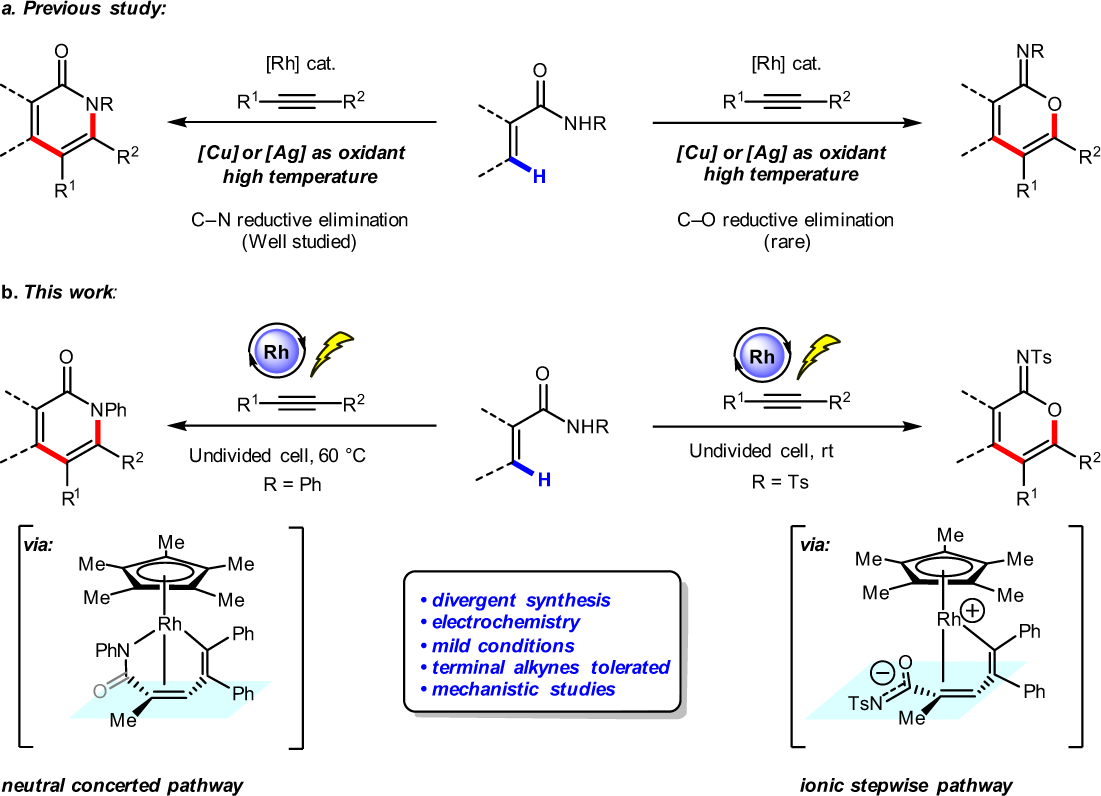 Divergent Rhodium Catalyzed Electrochemical Vinylic C H Annulation Of Acrylamides With Alkynes Nature Communications