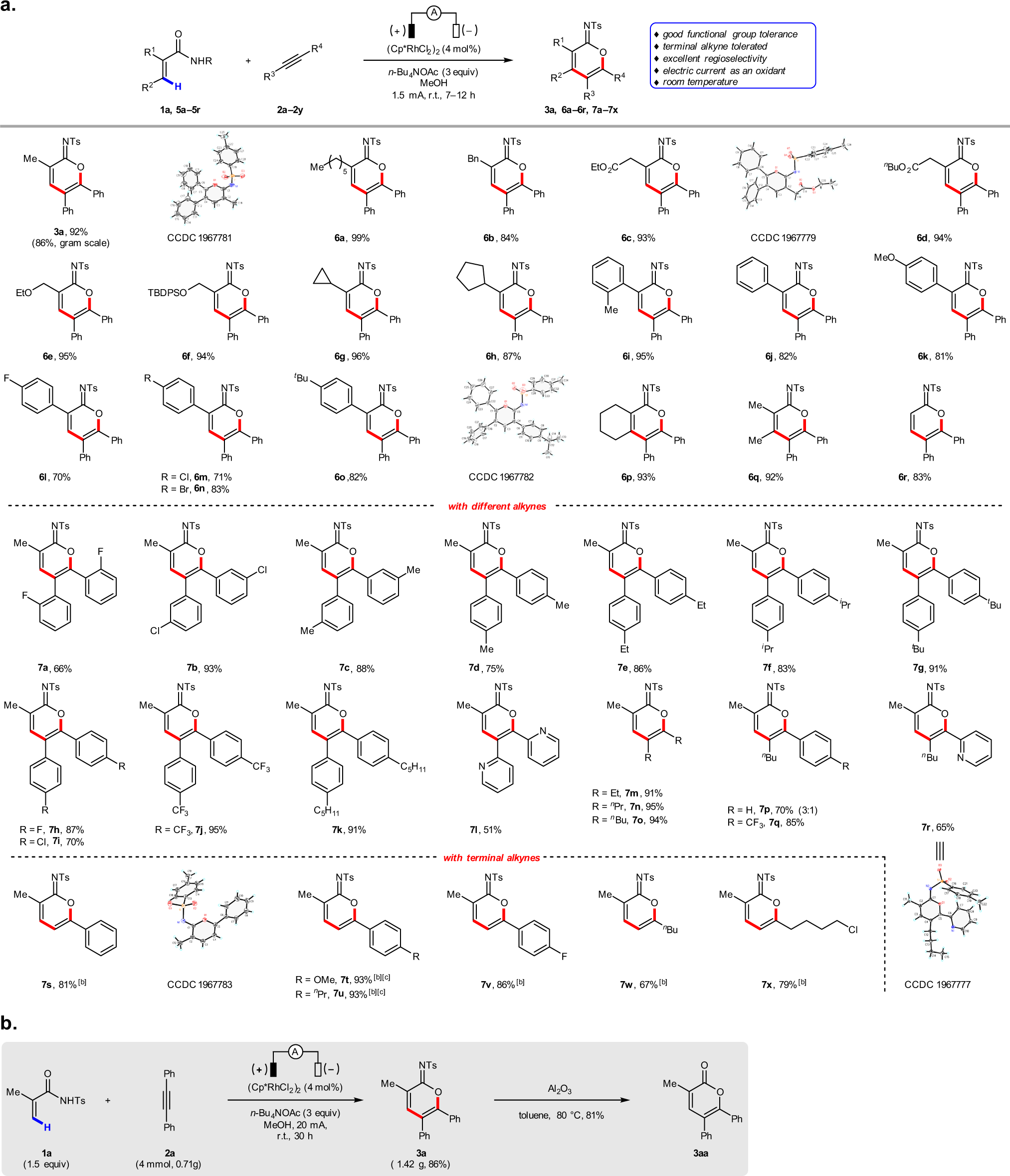 Fig. 2: Scope of cyclic imidates and synthetic application.