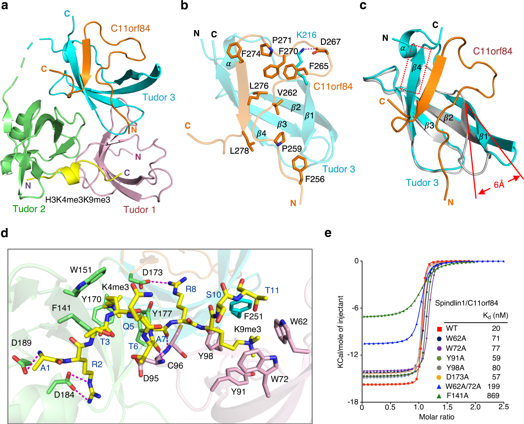Fig. 2: Structural details of Spindlin1/C11orf84/H3K4me3K9me3 ternary complex.