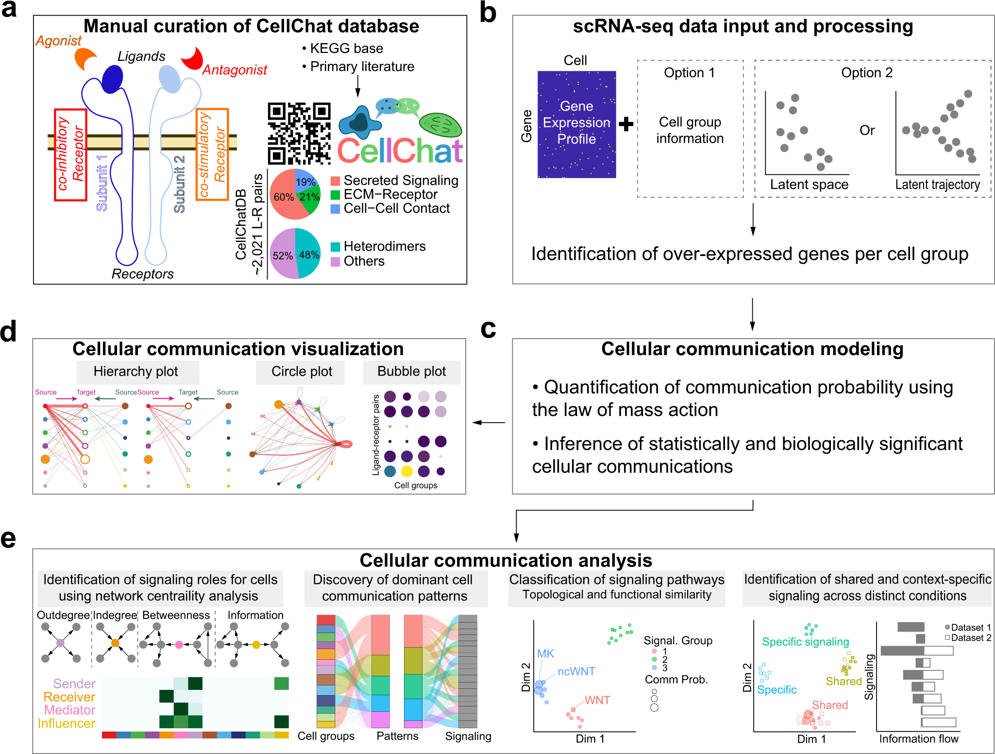 Cell-cell contacts relevant for the induction of left-right