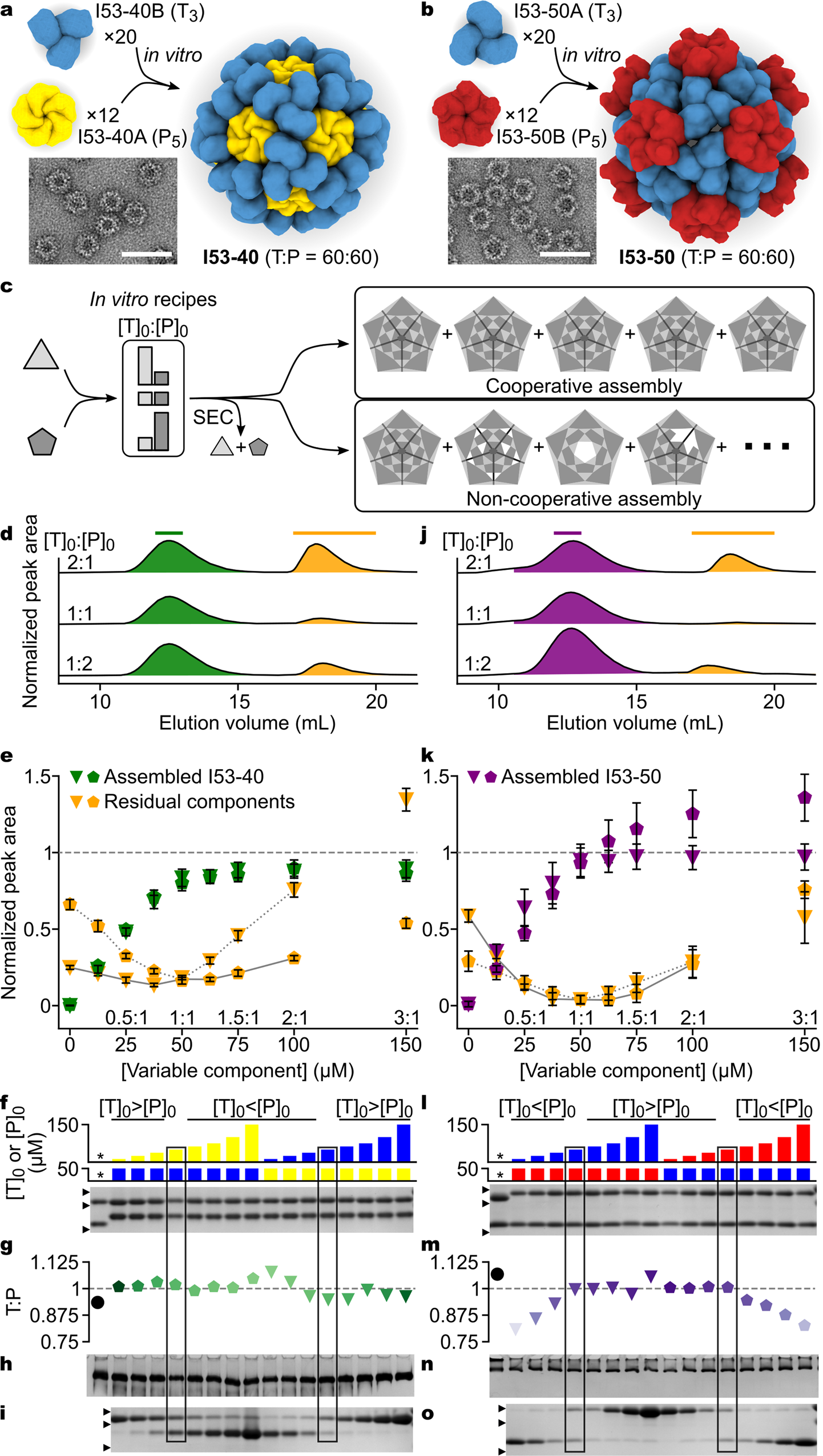 Fig. 1: In vitro assembly analysis indicates cooperativity in most regimes.