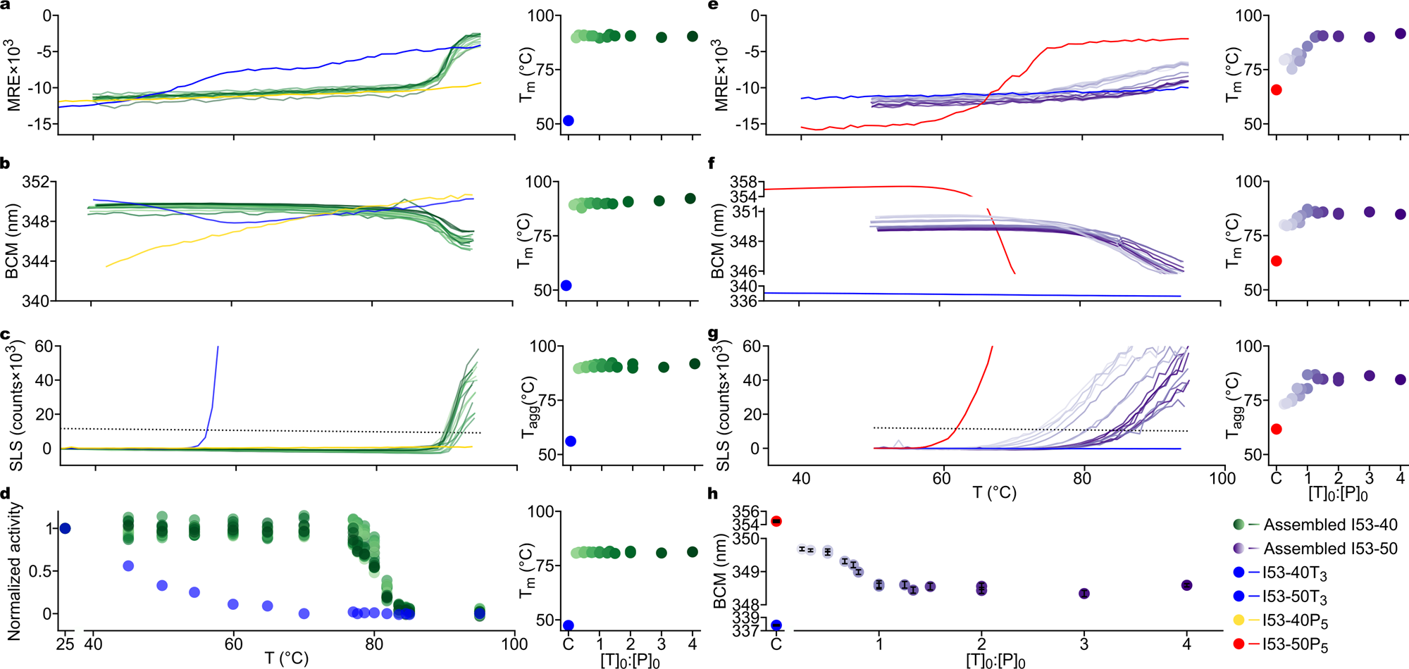 Fig. 3: Biochemical and biophysical characterization of nanomaterial stability and composition.