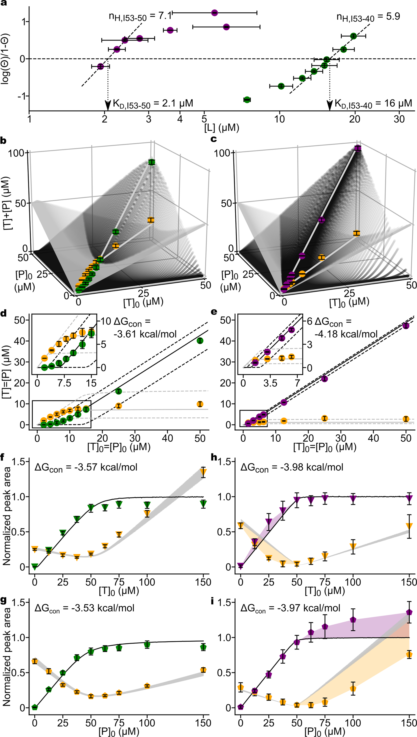 Fig. 4: Comparison of experimental in vitro assembly data to a simple equilibrium model.