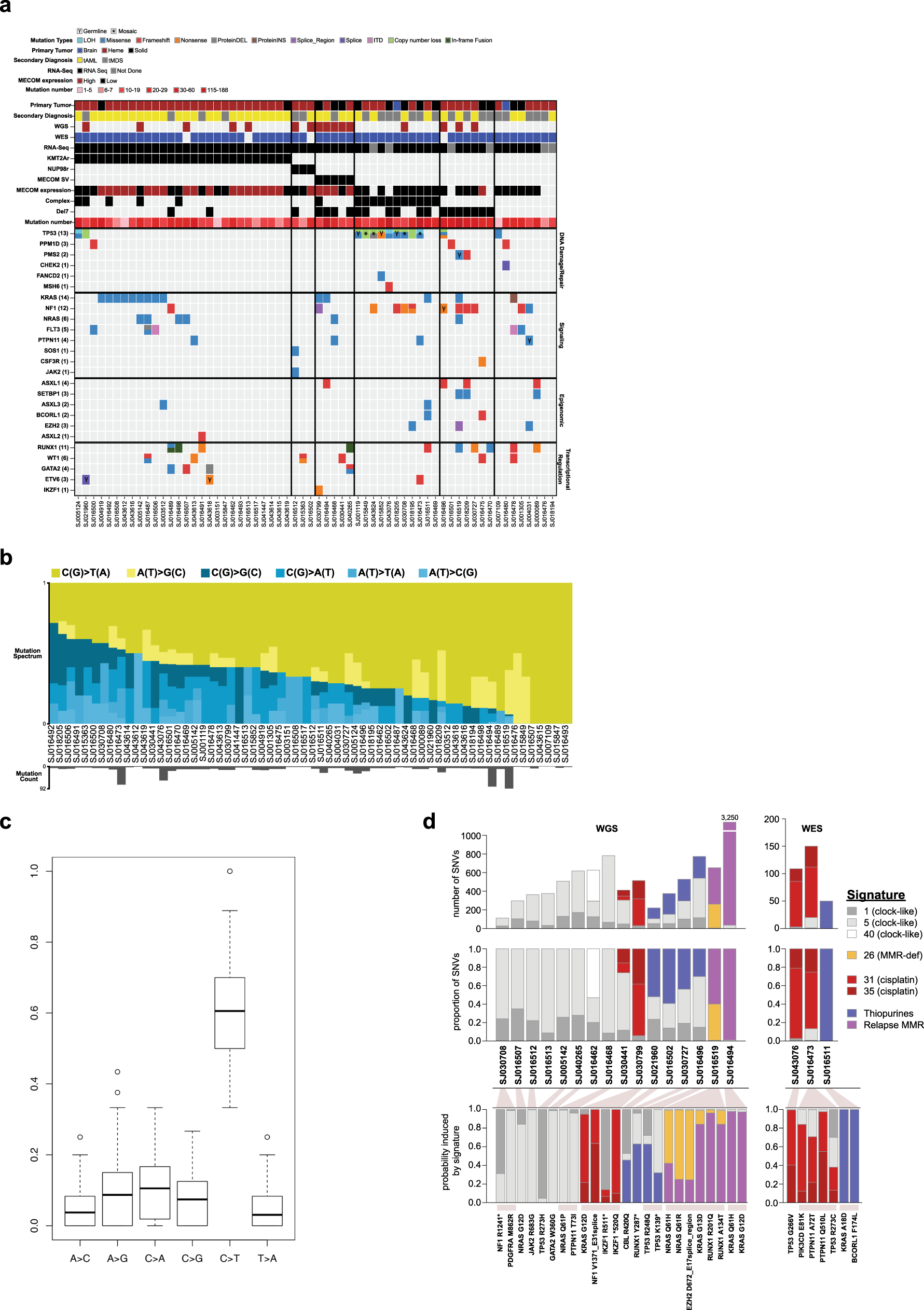 Fig. 2: Comprehensive mutational spectrum of pediatric tMN.