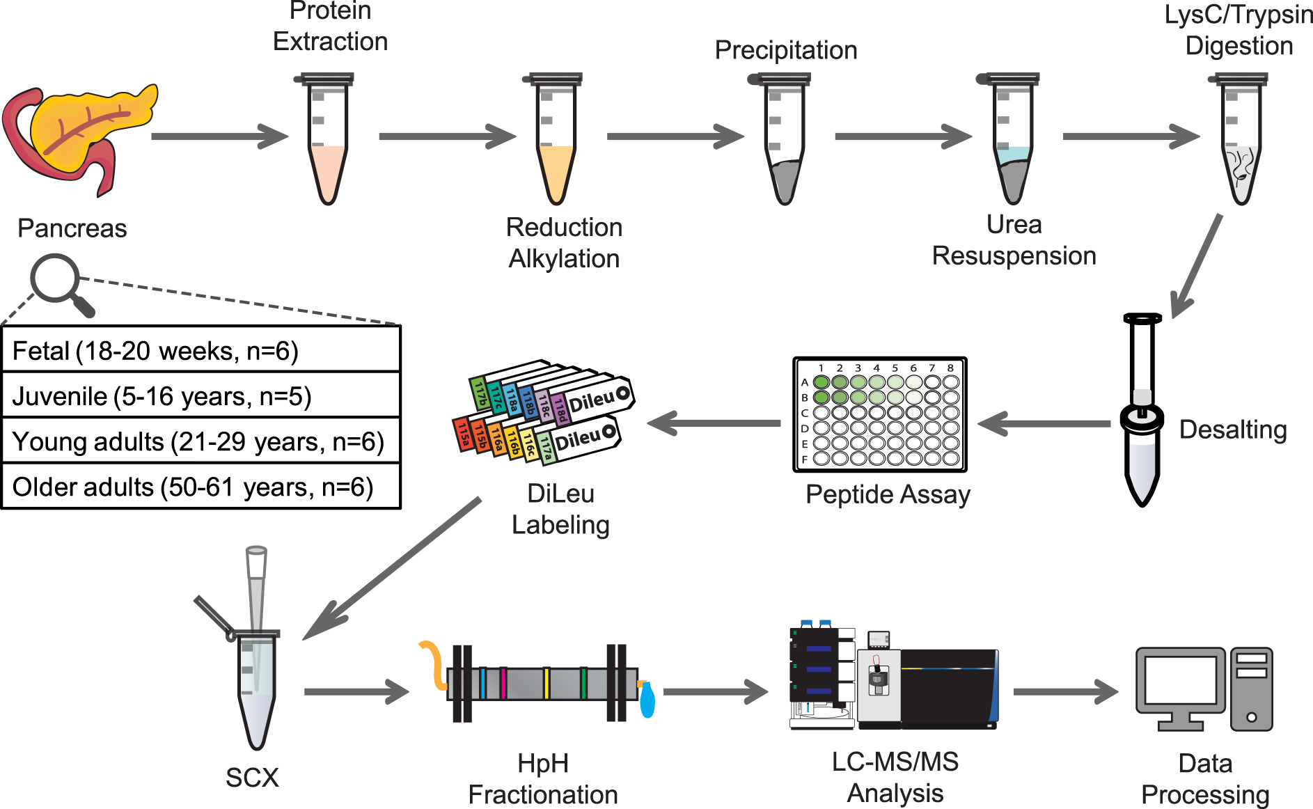 Proteome Wide And Matrisome Specific Alterations During Human Pancreas Development And Maturation Nature Communications