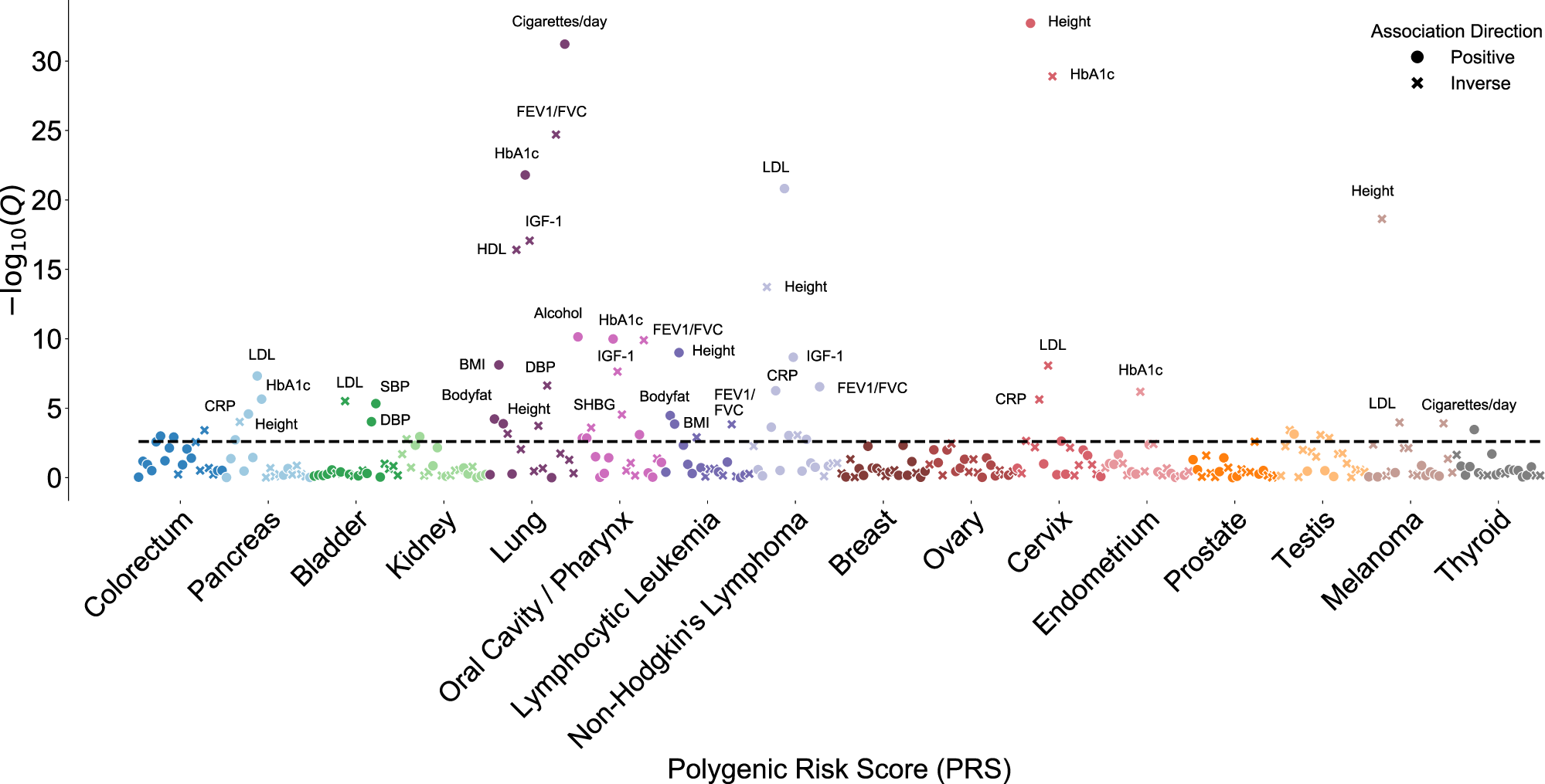 Fig. 3: Associations between each cancer-specific polygenic risk score (PRS) and 20 cancer risk factors and related serum biomarkers.