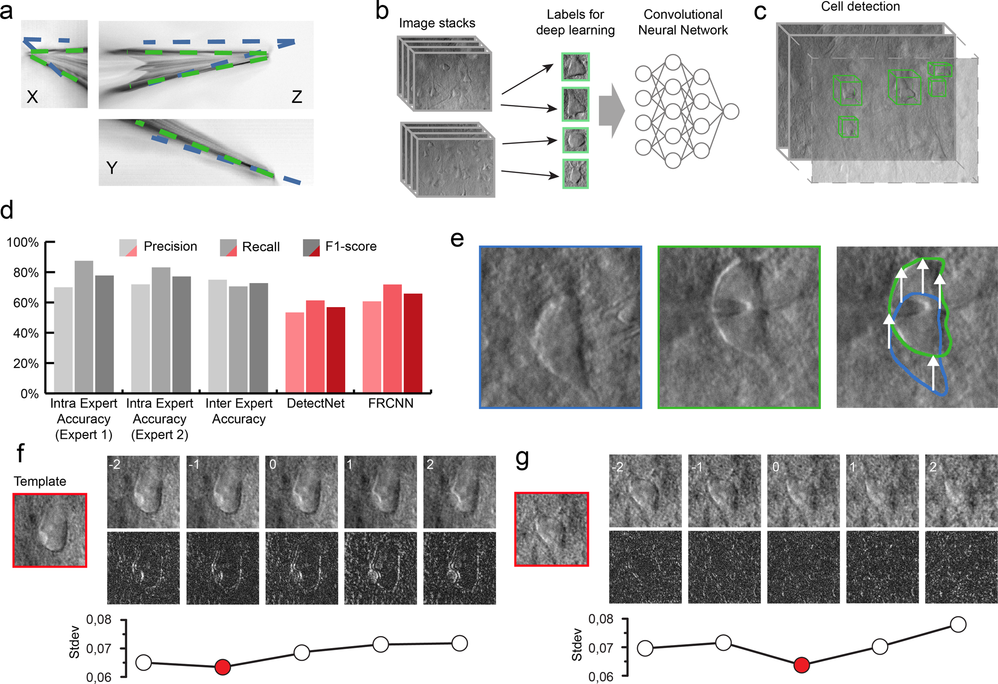 Fig. 3: The developed algorithms for the DIGAP system.
