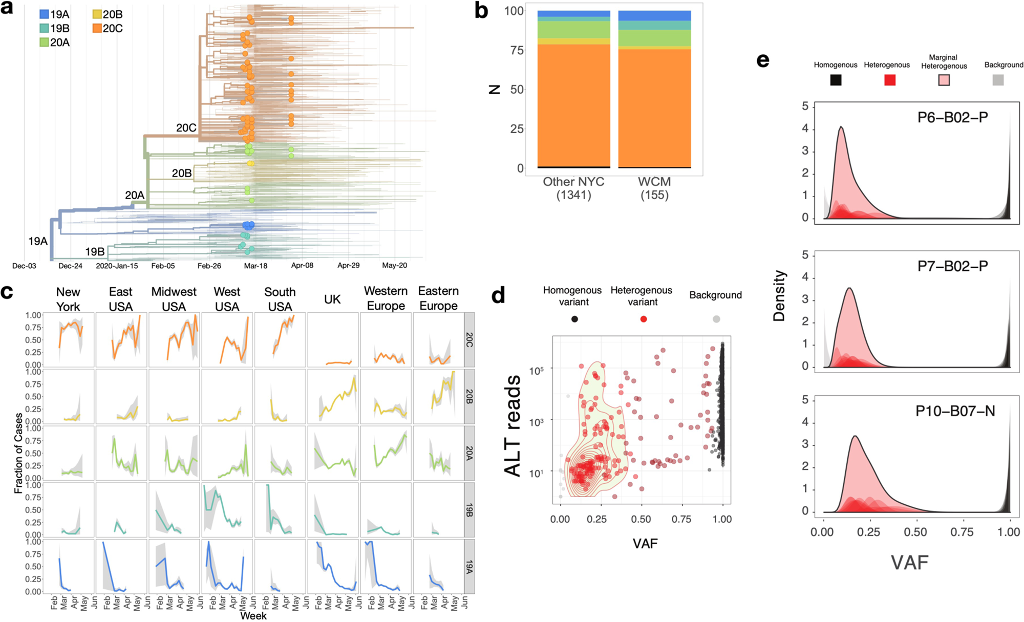 Fig. 3: Viral genome assemblies and variants.